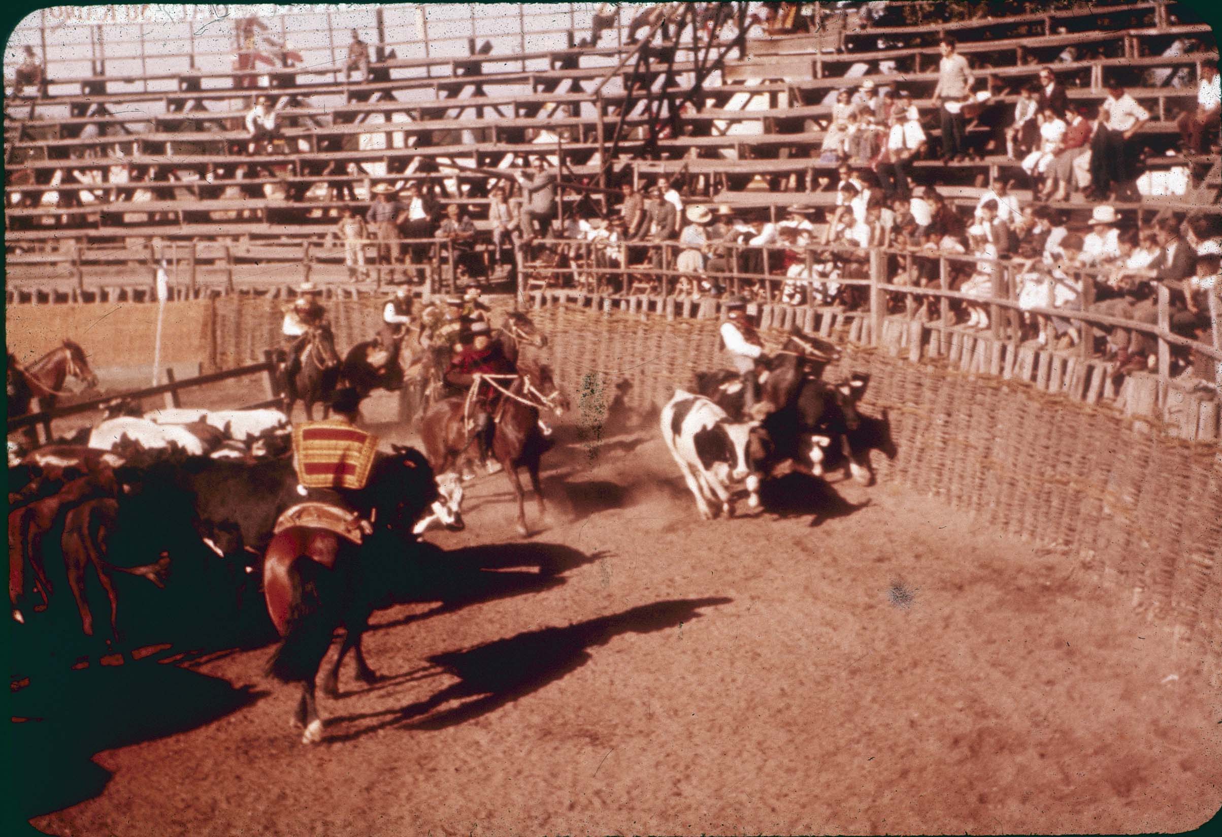 Rodeo en Curicó en los 60