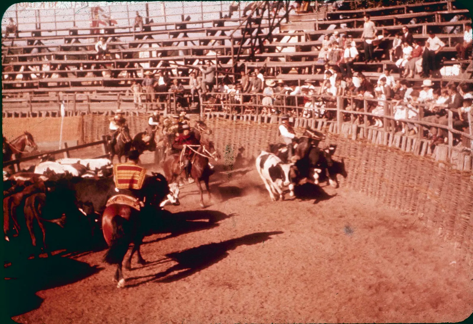 Rodeo en Curicó en los 60