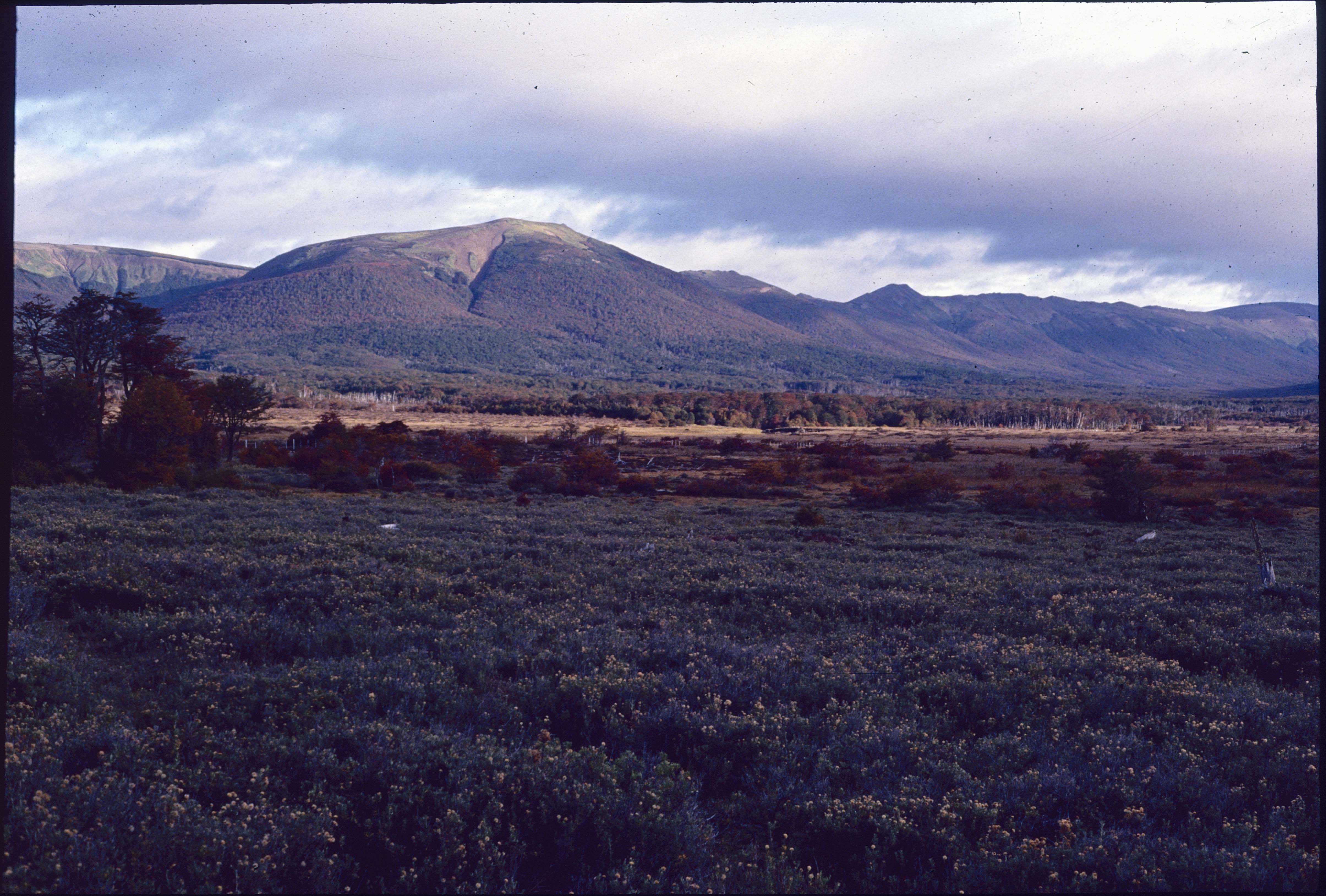 Paisaje de la Patagonia en 1991