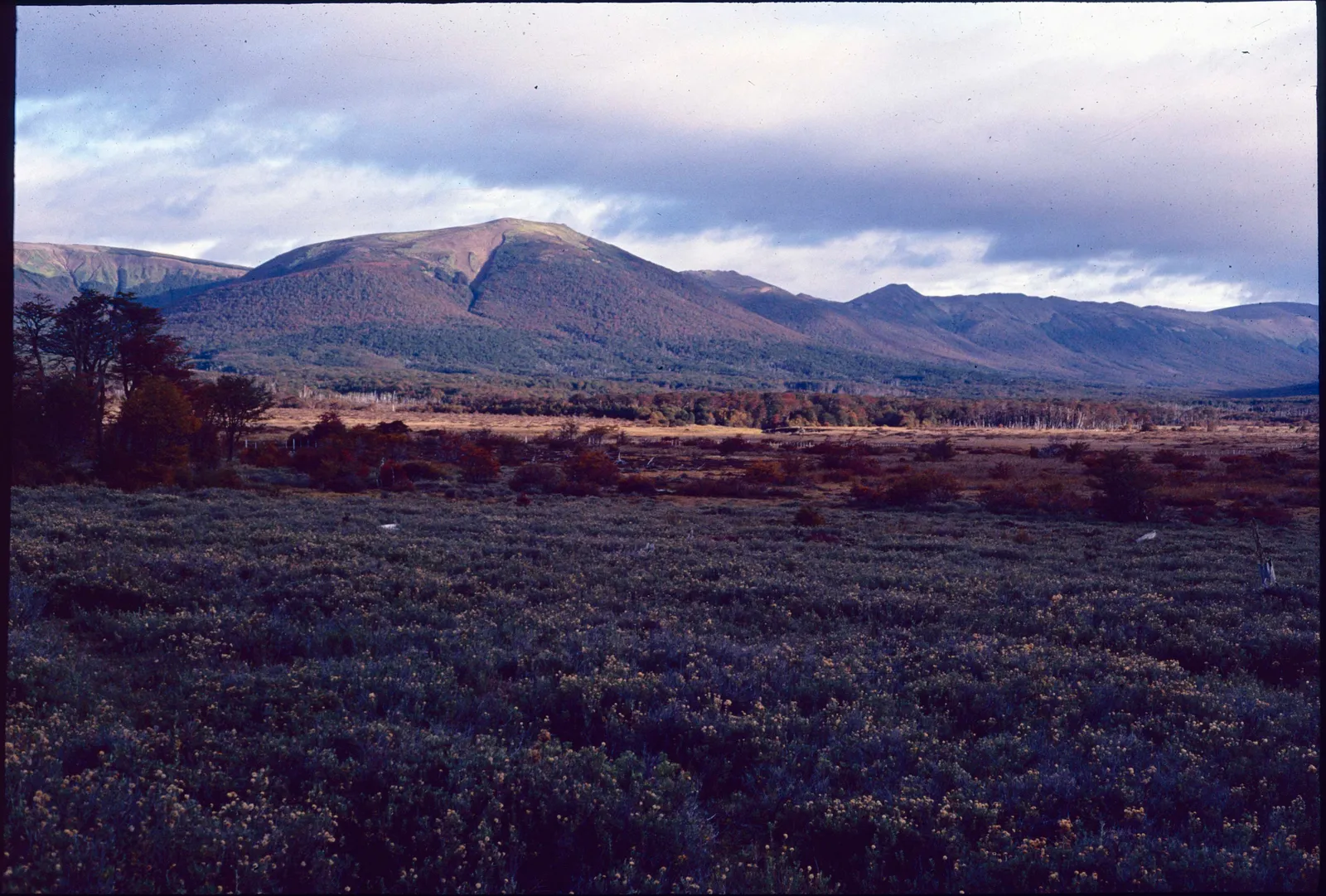 Paisaje de la Patagonia en 1991