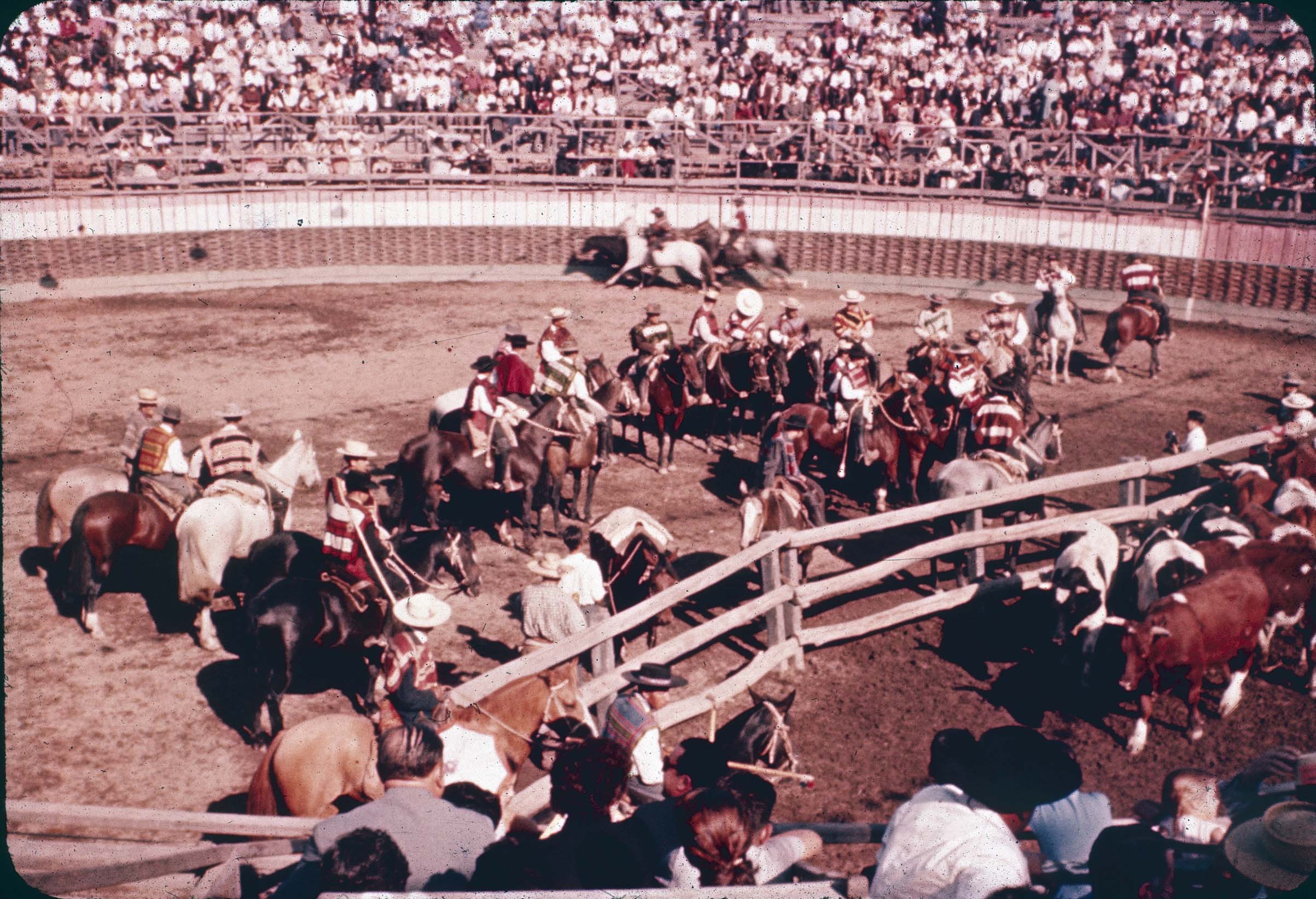 Huasos en rodeo de Curicó en los 60