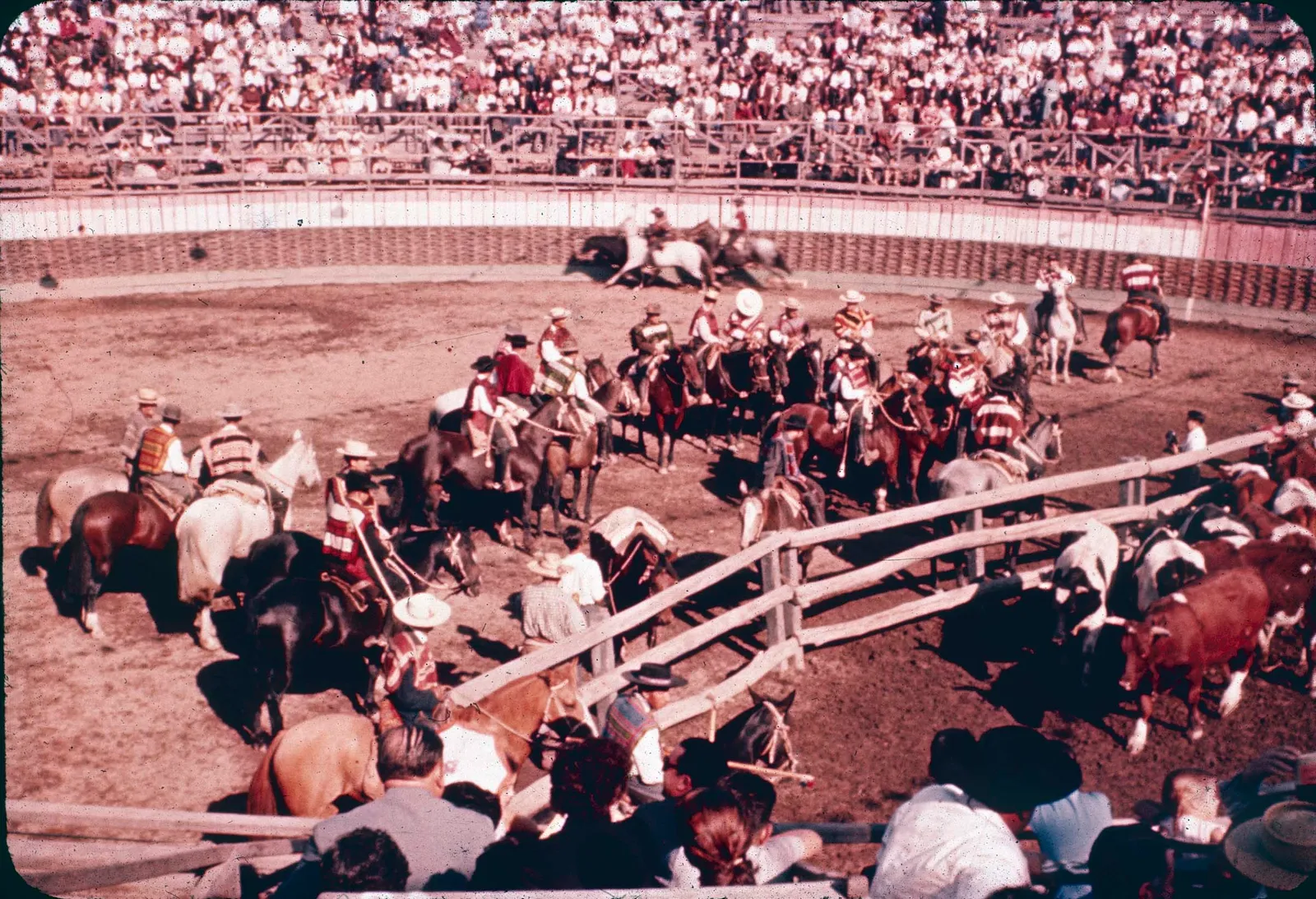 Huasos en rodeo de Curicó en los 60