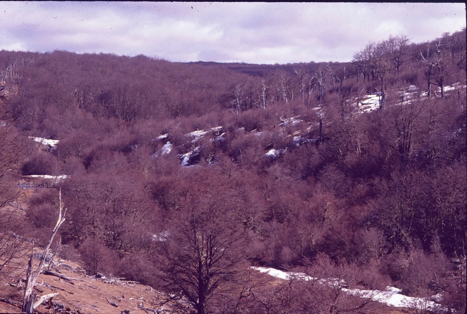 Paisaje de la Patagonia en 1991