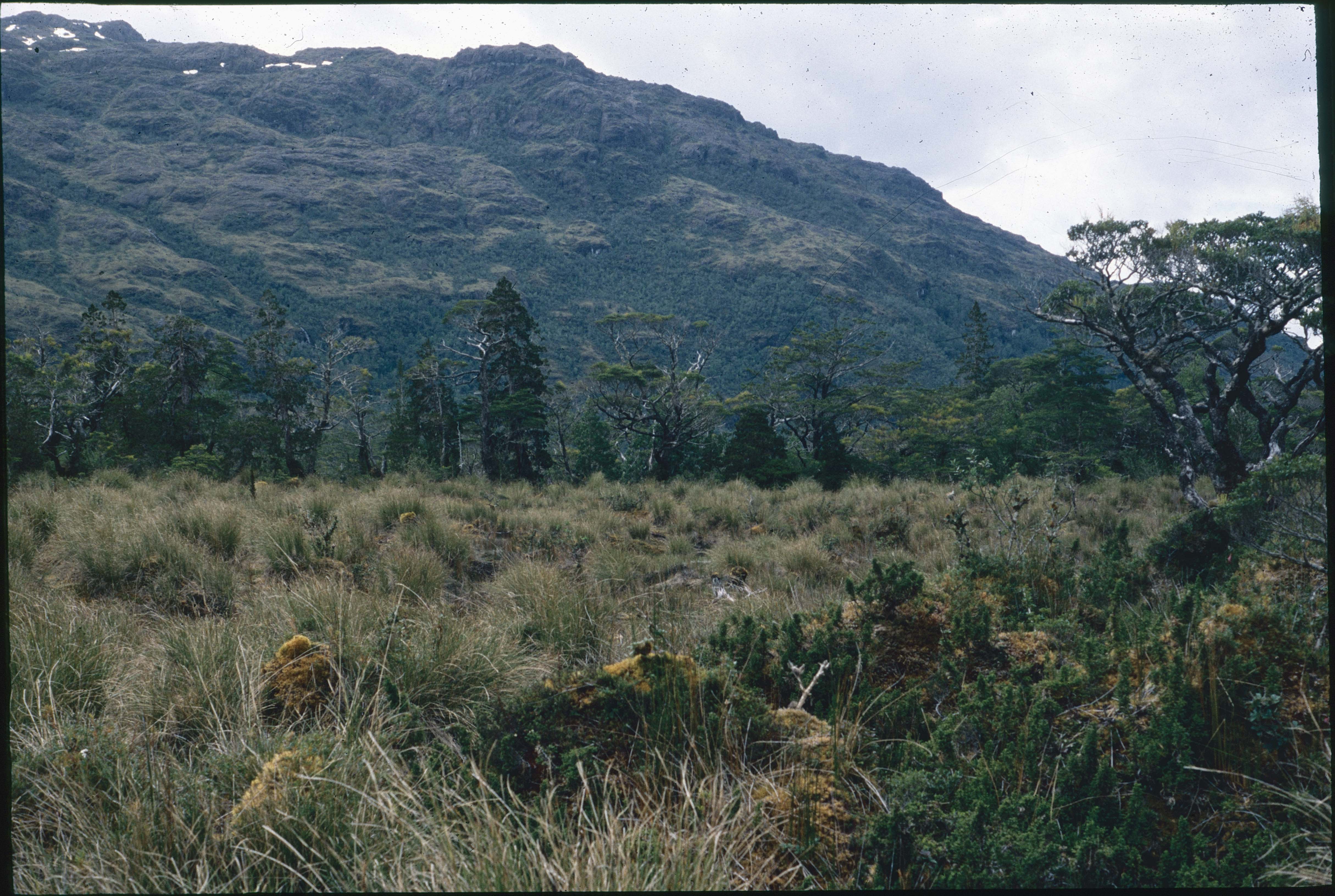 Paisaje de la Patagonia en 1991