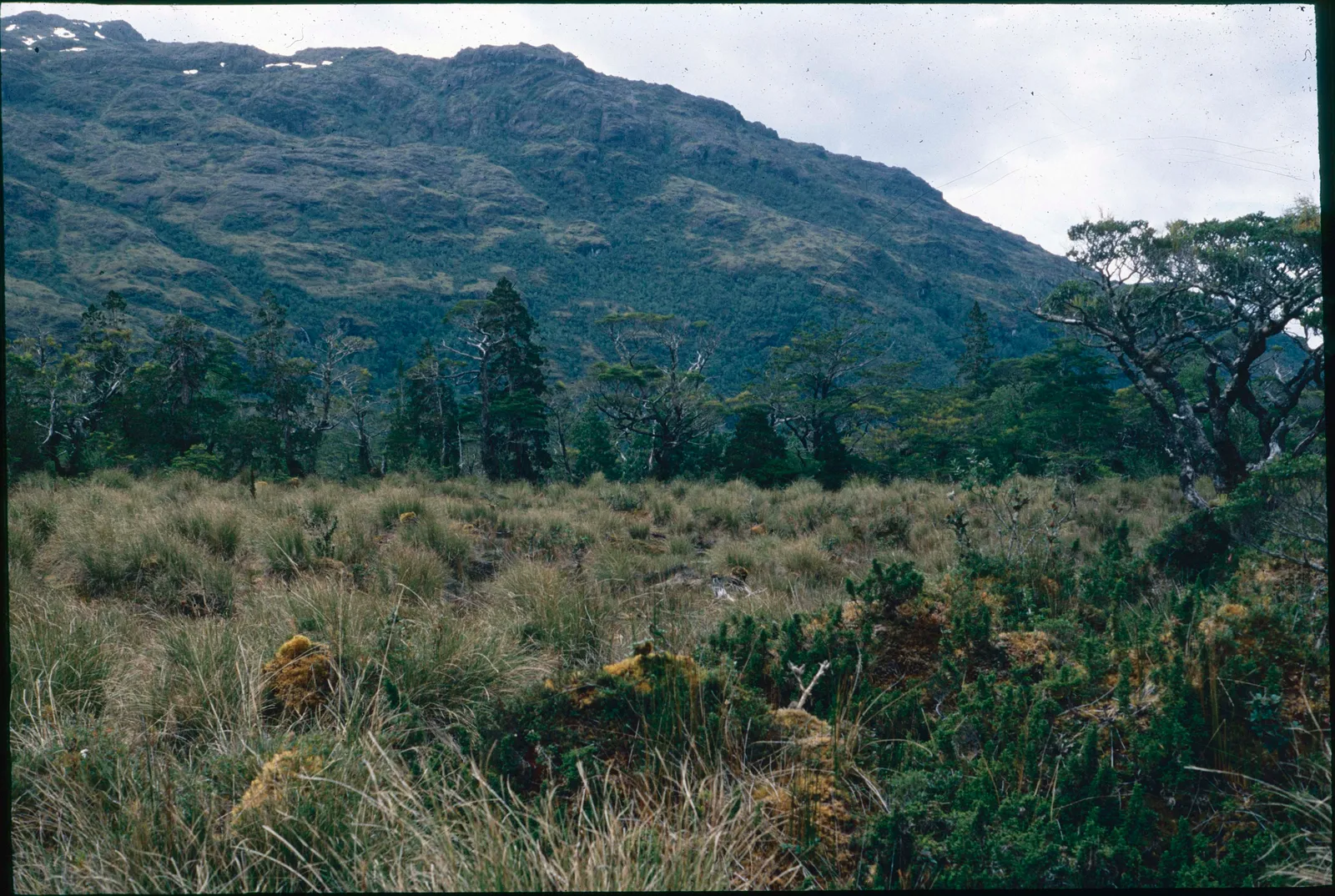 Paisaje de la Patagonia en 1991