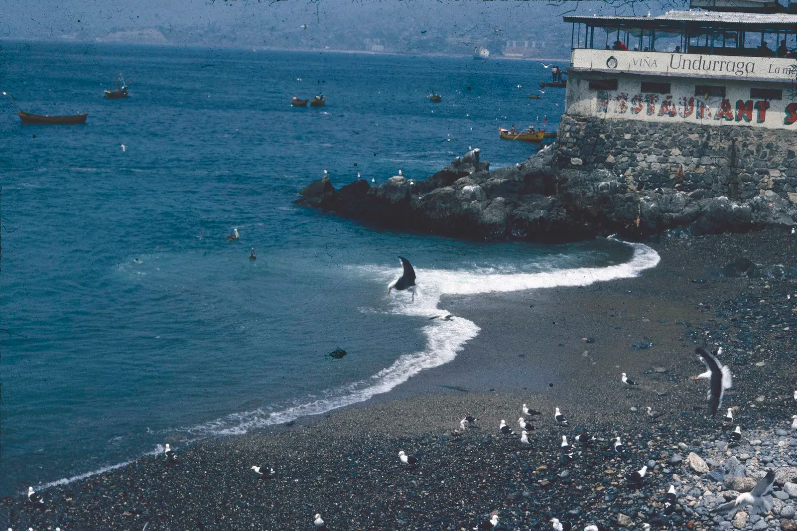 Caleta el Membrillo en 1985