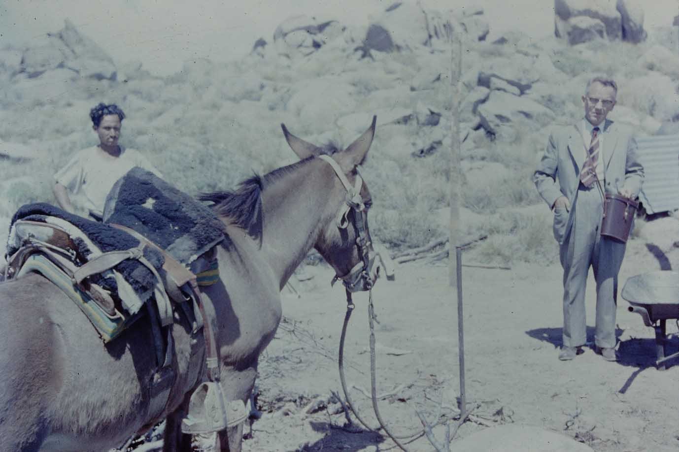 Cerro el Roble ca. 1970