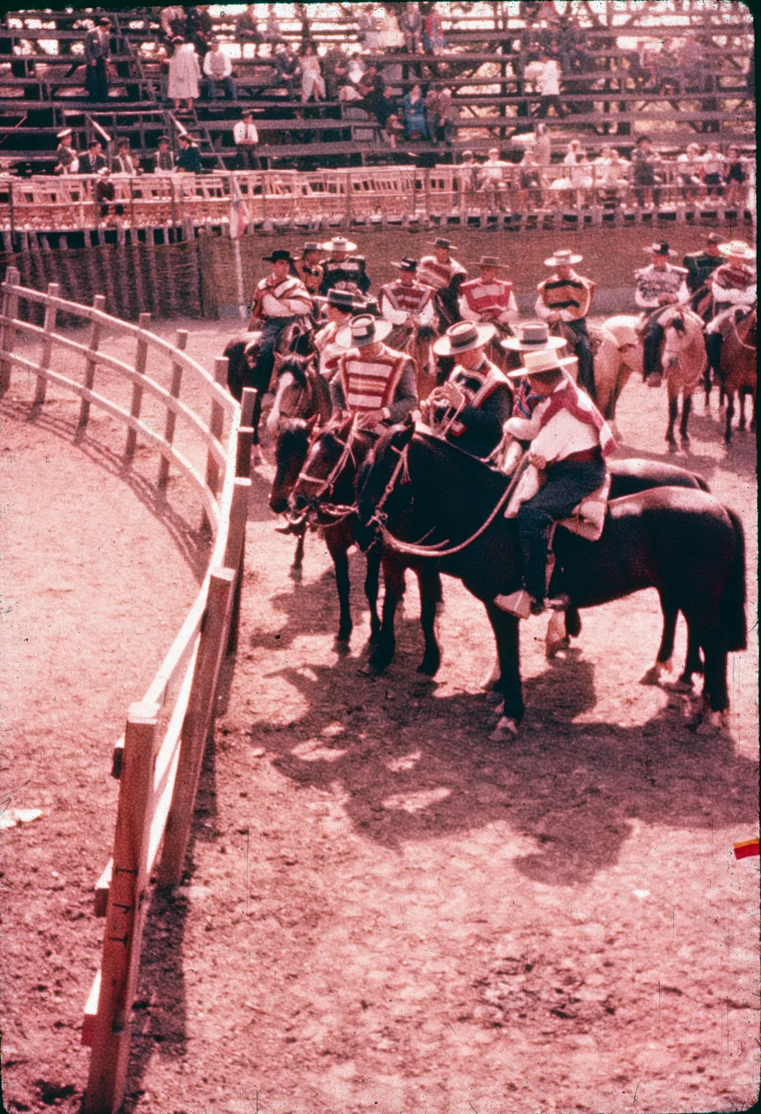 Rodeo en Curicó en los años 60