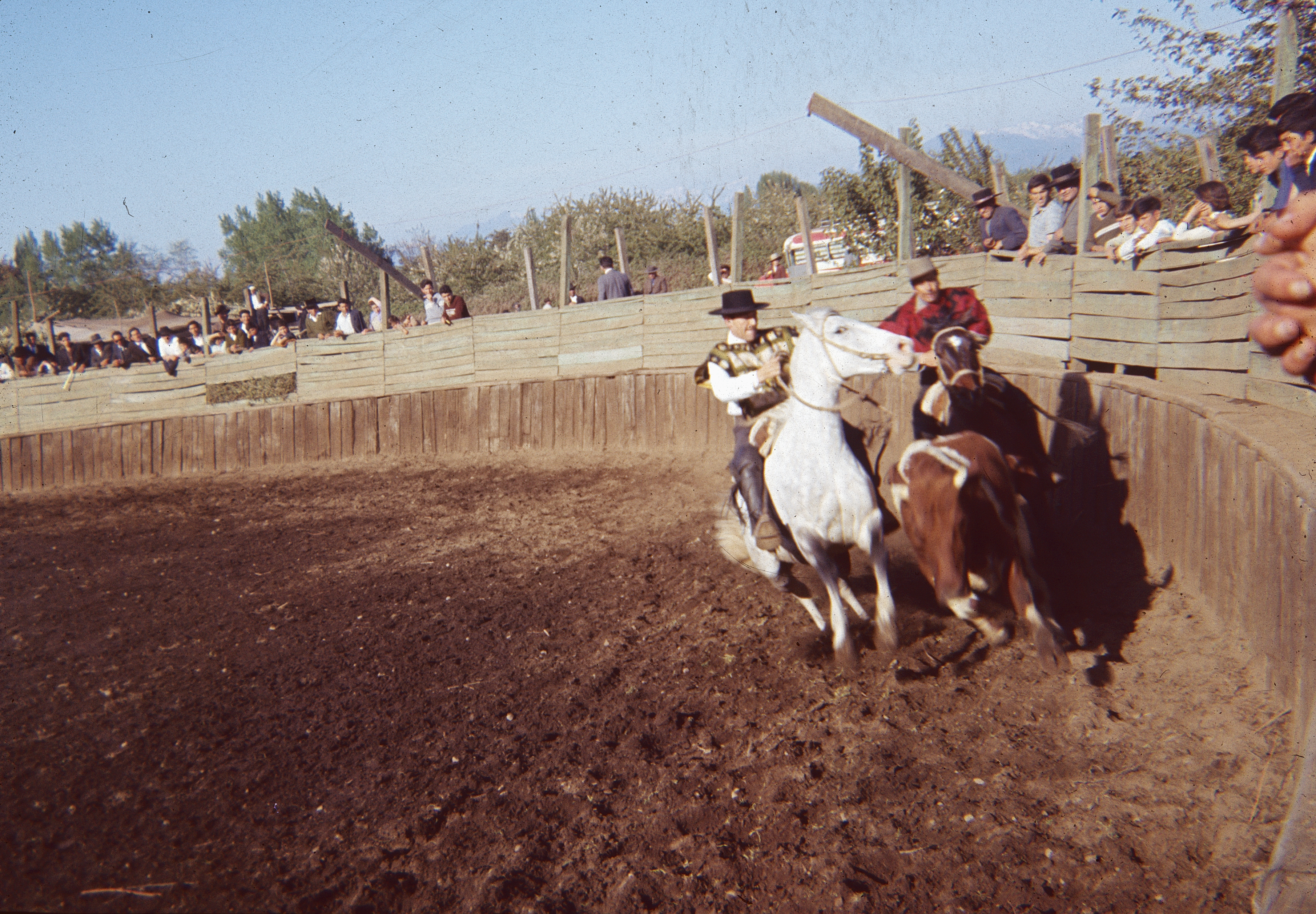 Rodeo en Curicó en los años 60