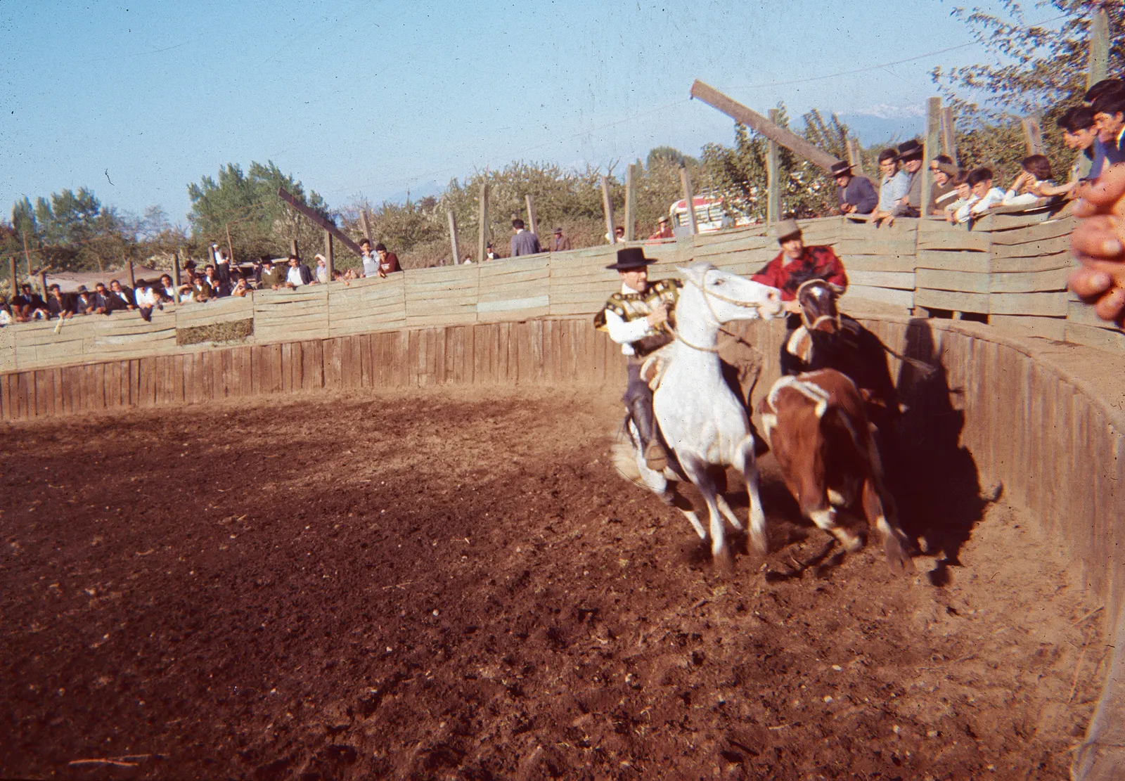 Rodeo en Curicó en los años 60