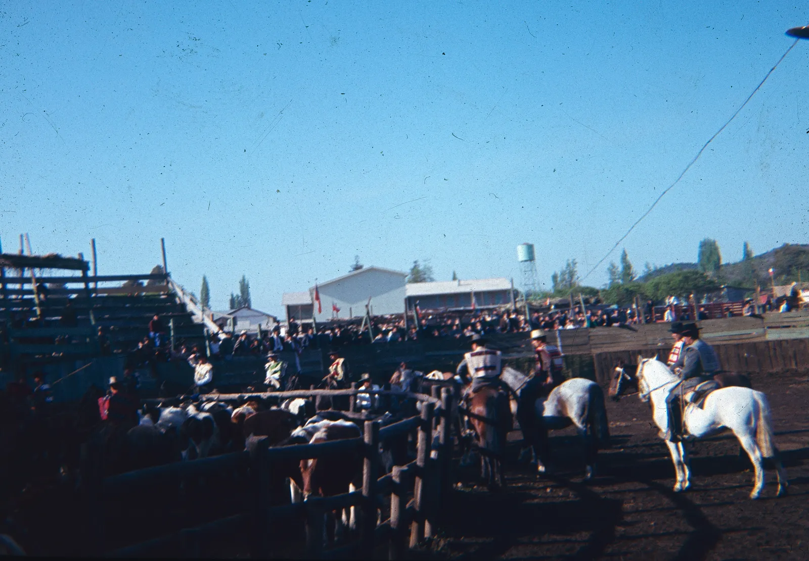 Rodeo en Curicó en los años 60
