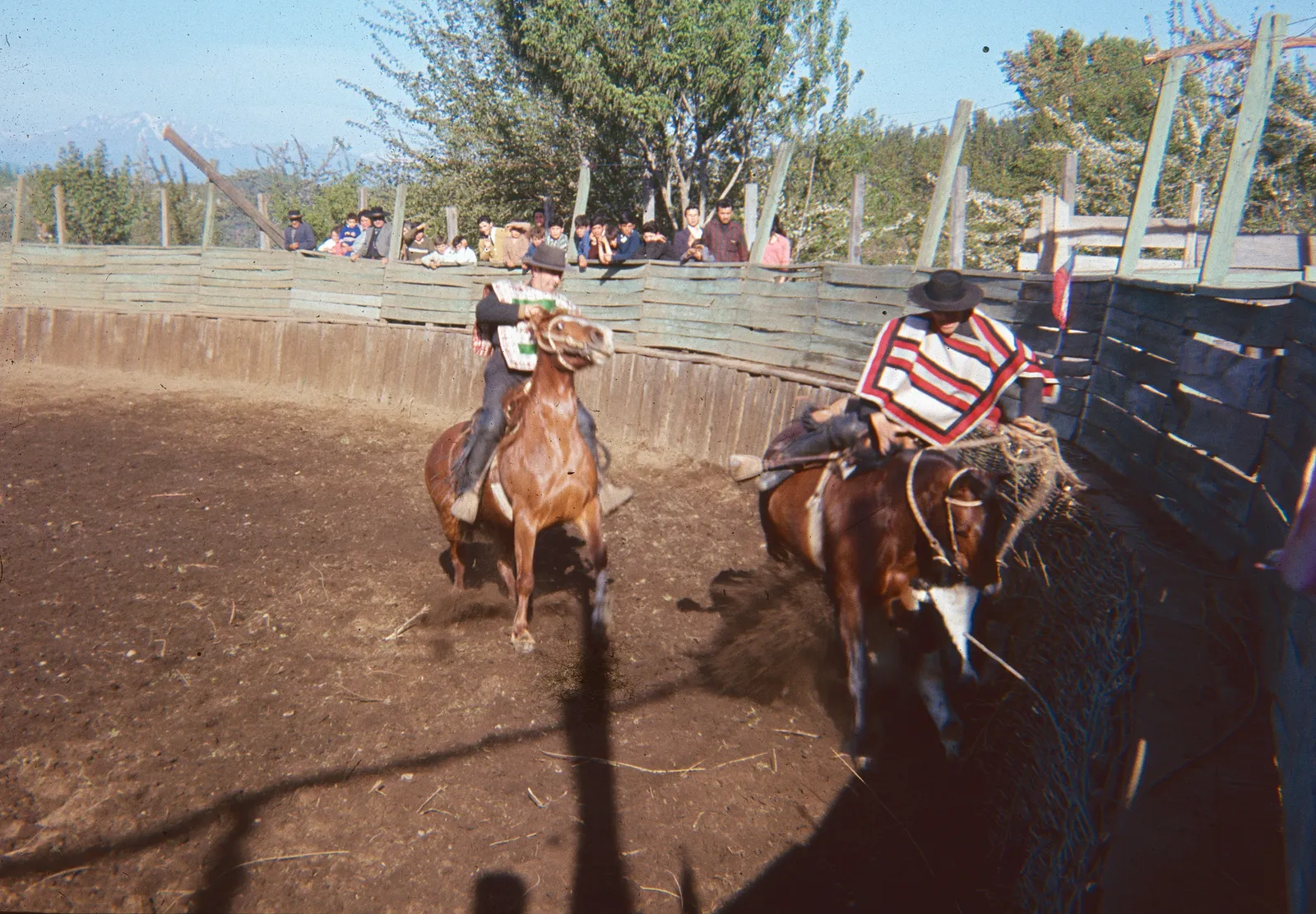 Rodeo en Curicó en los años 60