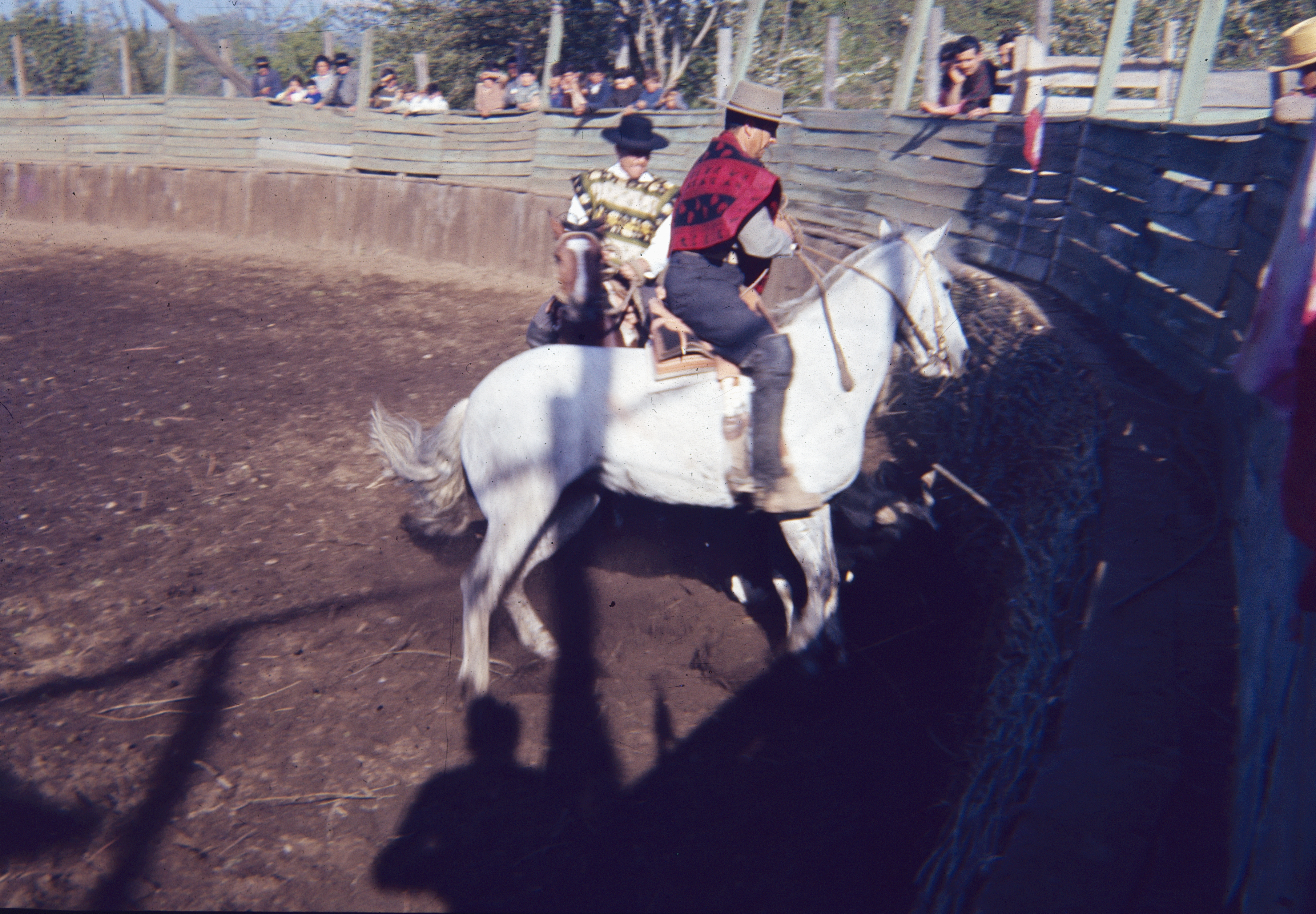 Rodeo en Curicó en los años 60
