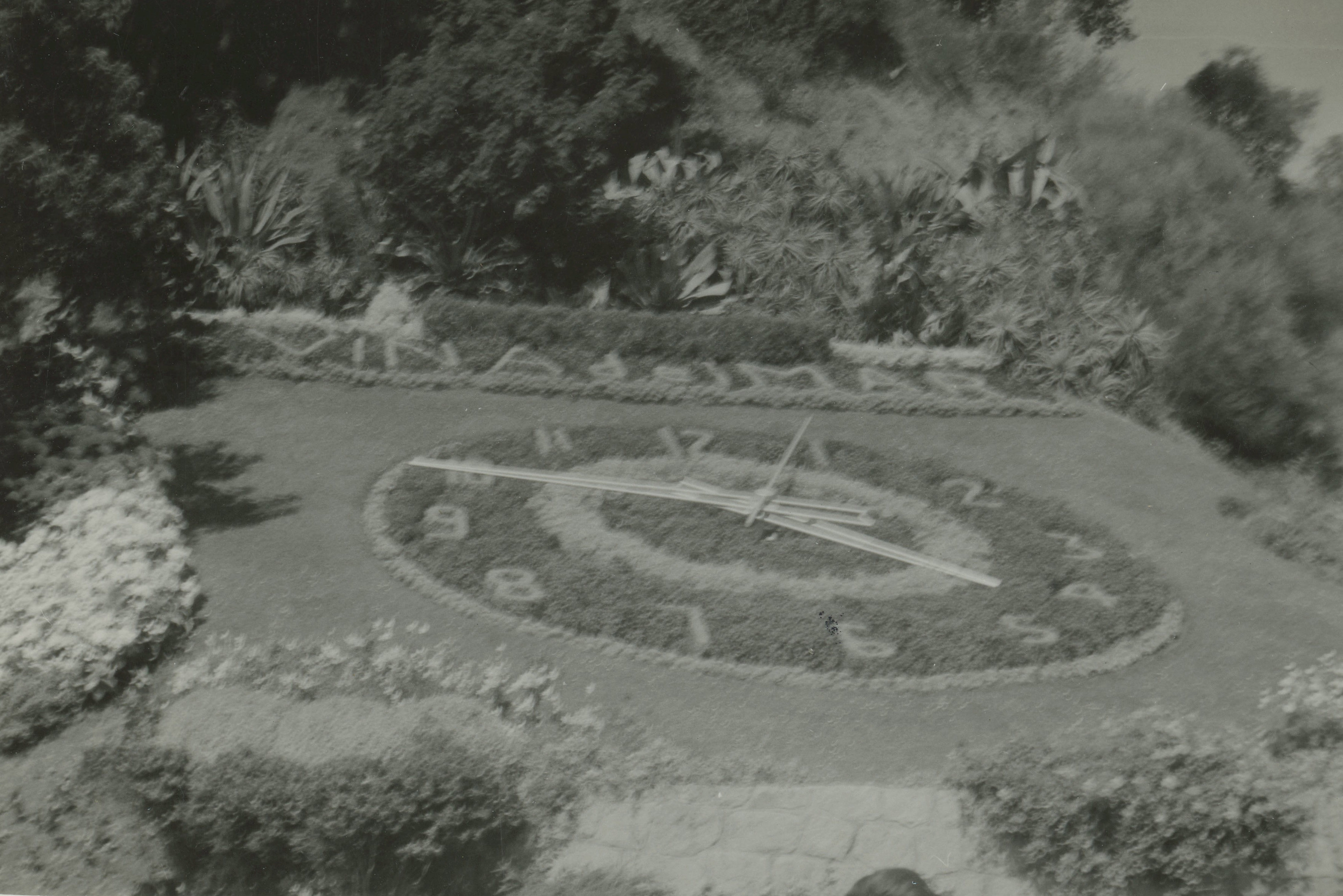 Reloj de Flores, Viña del Mar en 1969