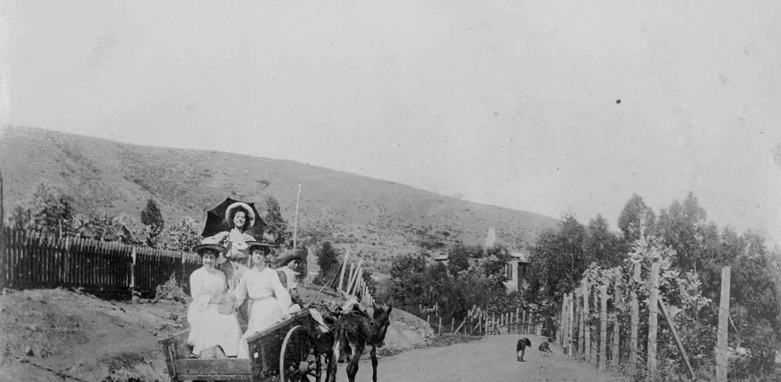 Lugar desconocido en 1904