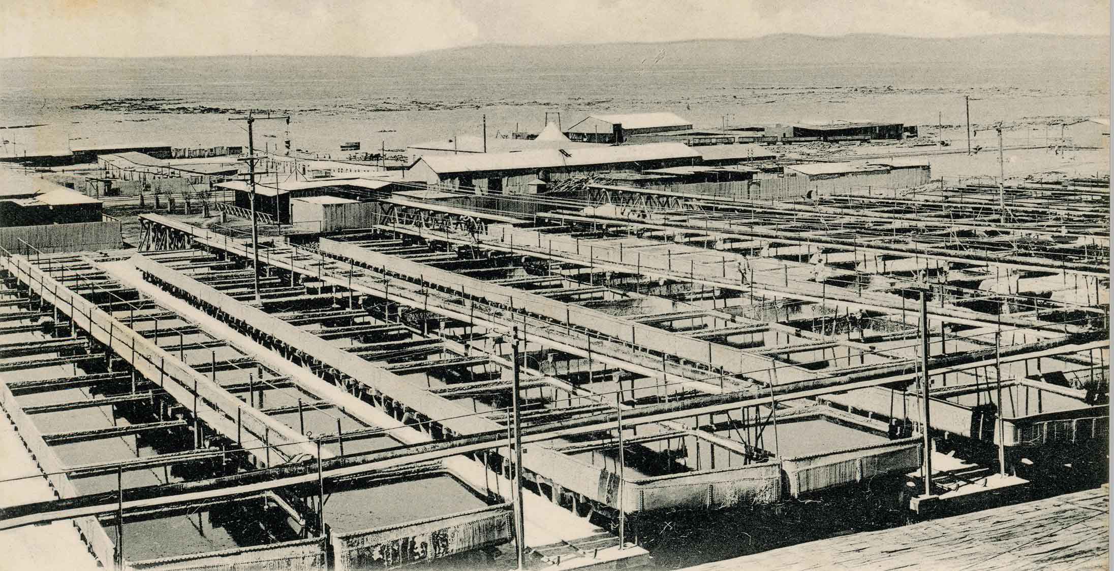 Oficina Agustín Edwards de Antofagasta ca. 1920