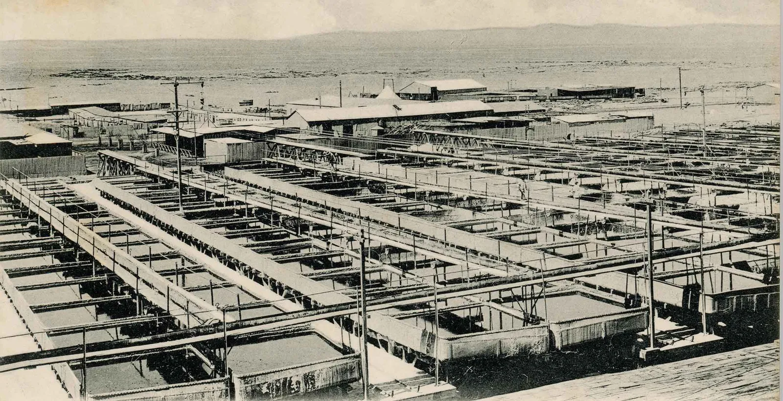 Oficina Agustín Edwards de Antofagasta ca. 1920