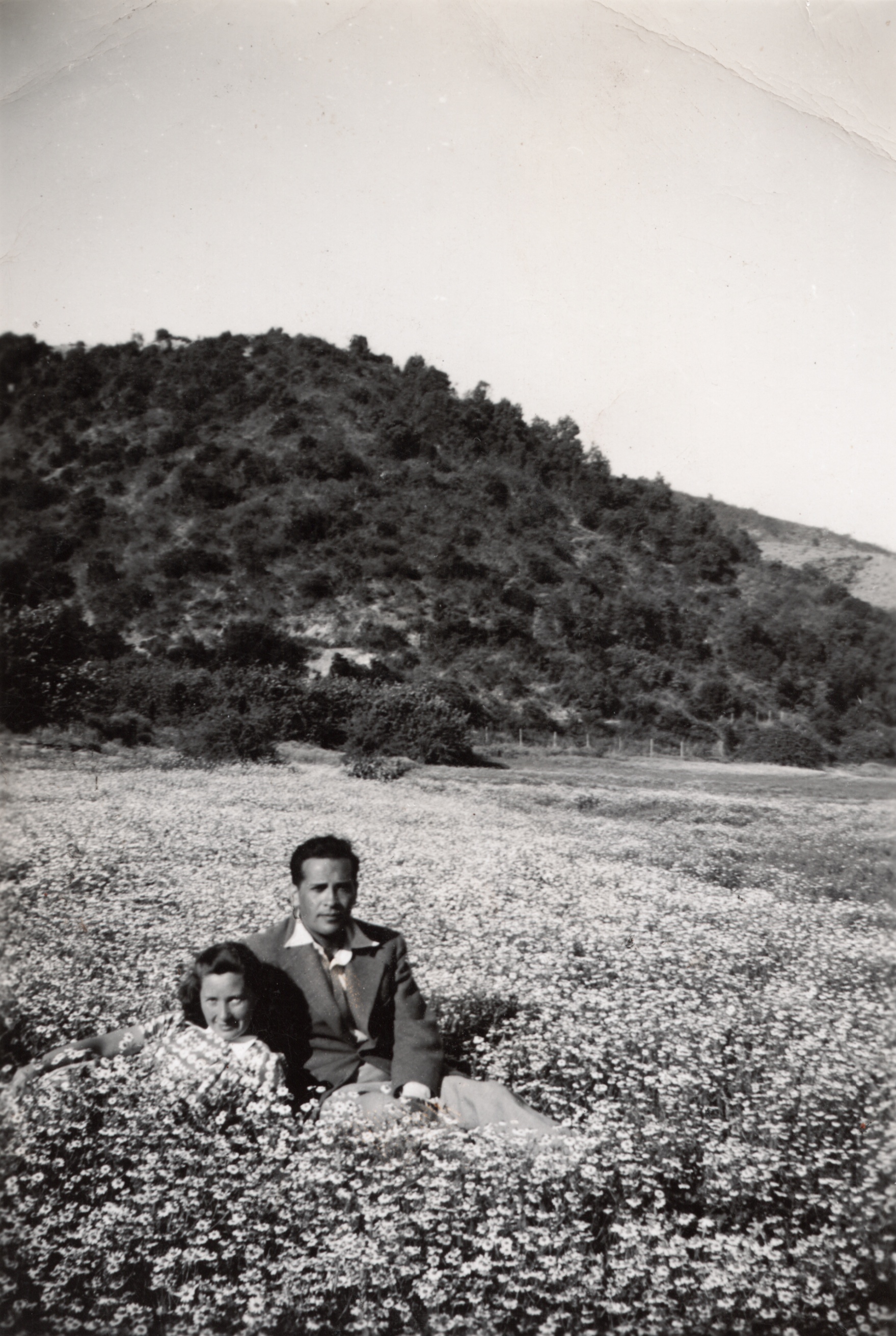 El Olívar, 1940s