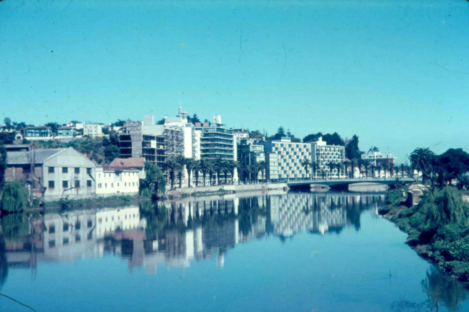 Viña del Mar en 1965