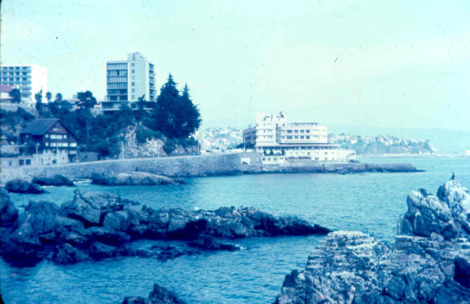 Viña del Mar en 1965