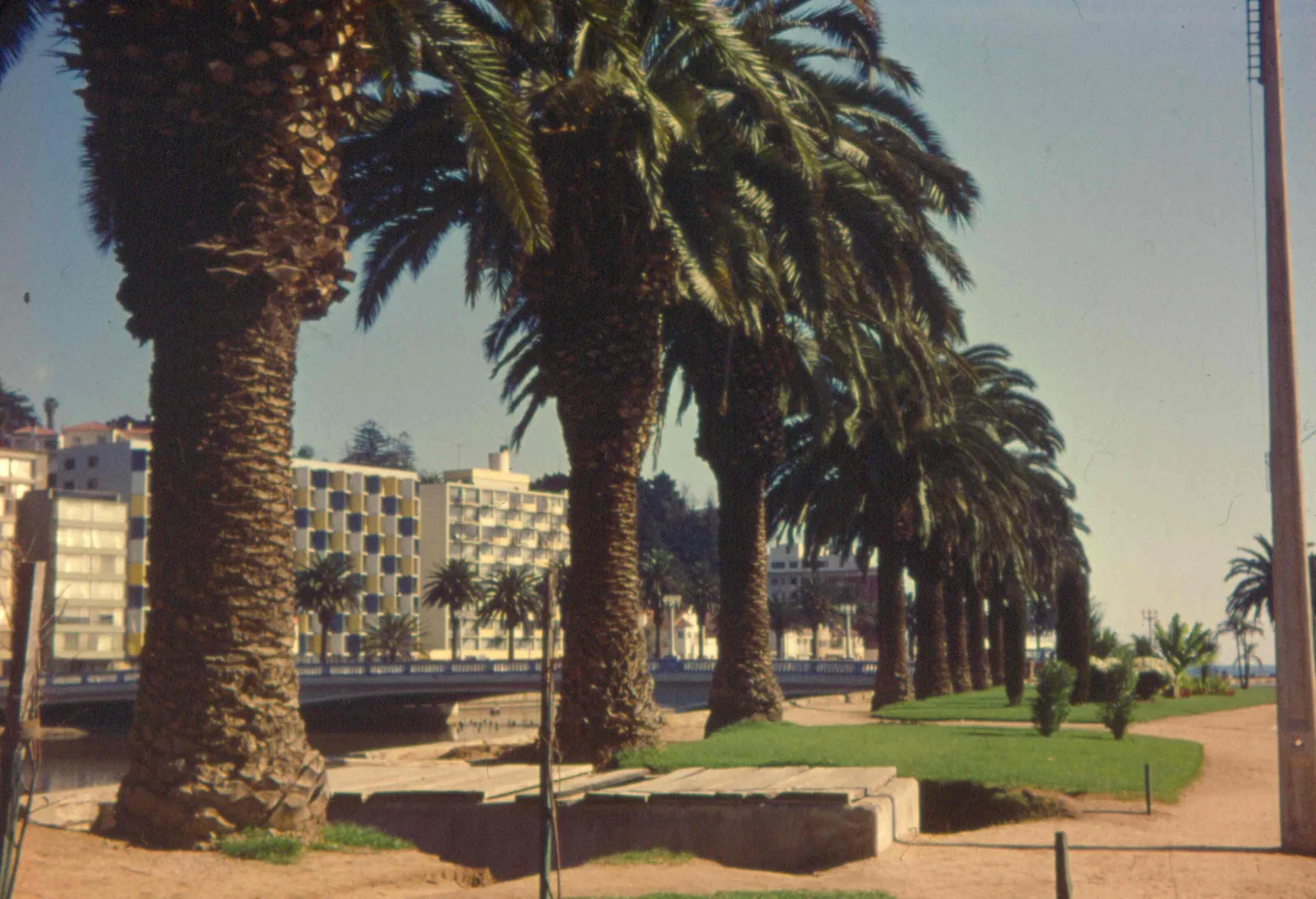 Viña del Mar en 1968