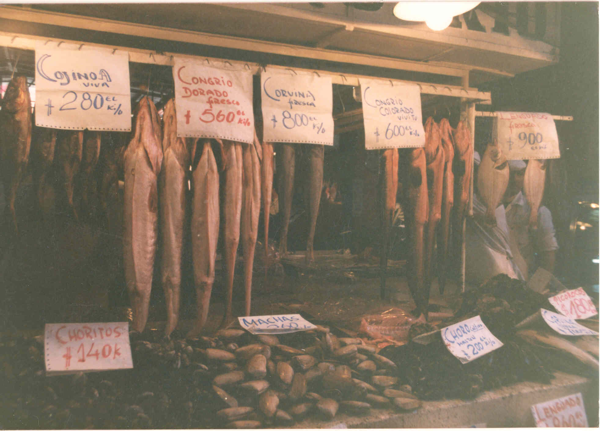 Mercado Central de Santiago en 1980