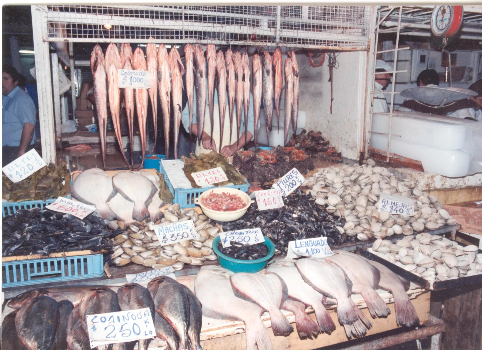 Mercado Central de Chile en 1980