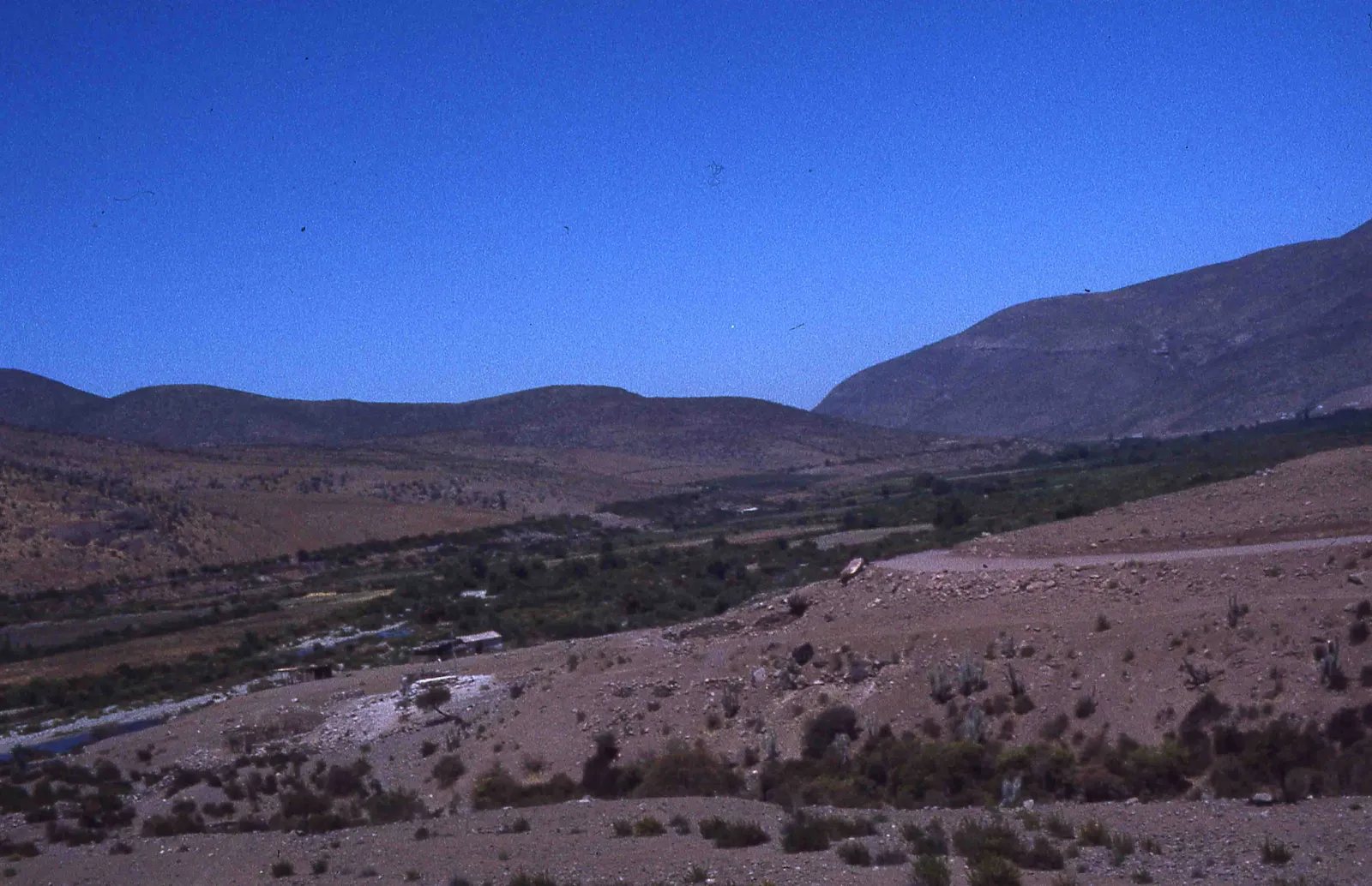 Pichasca en los años 70s