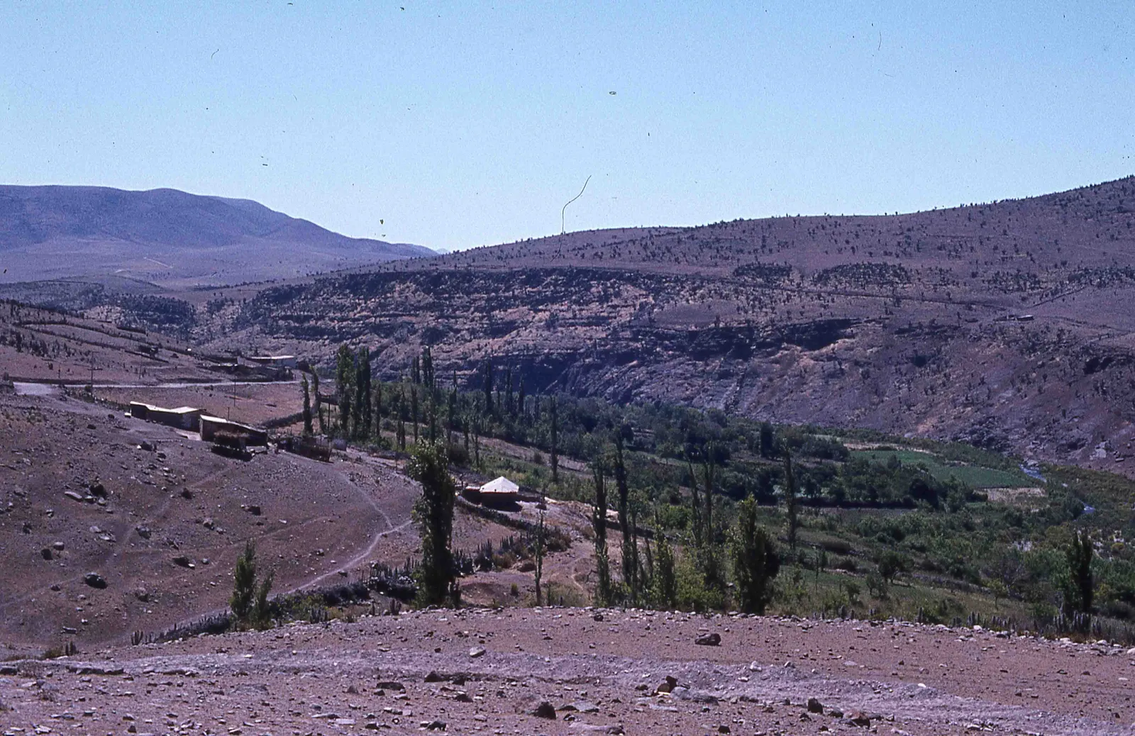 Pichasca en los años 70s