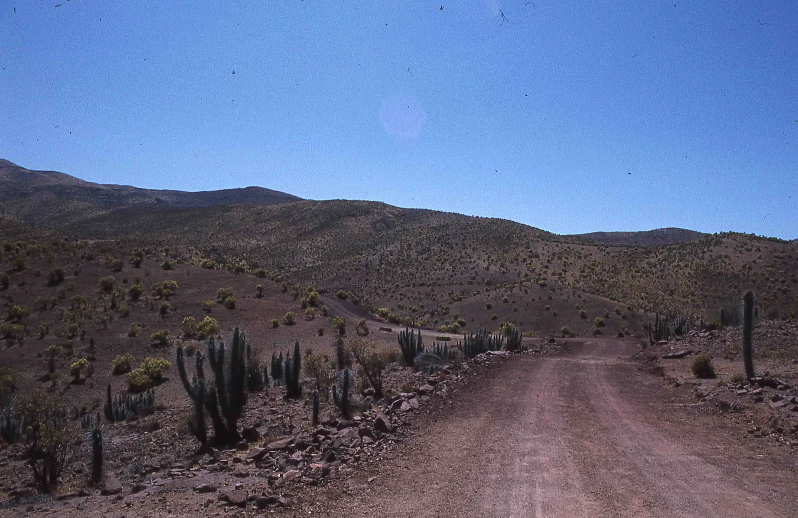 Pichasca en los años 70s