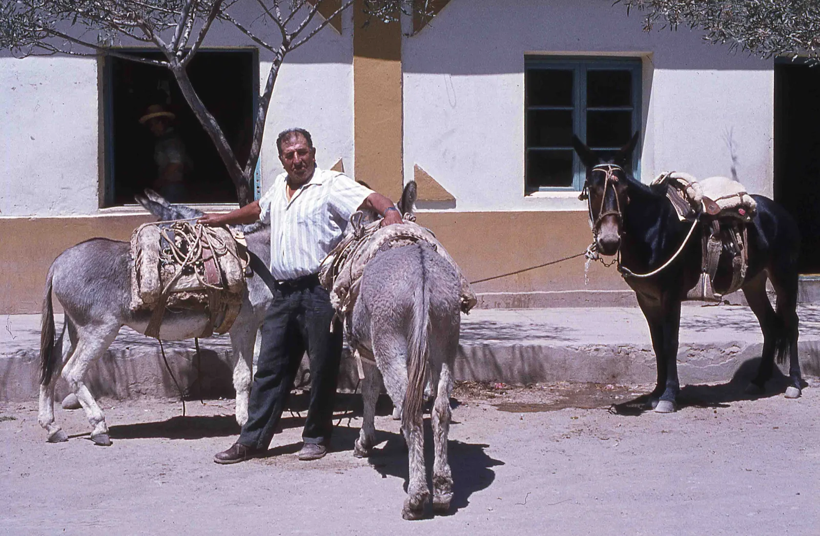 Ovalle en los años 70s