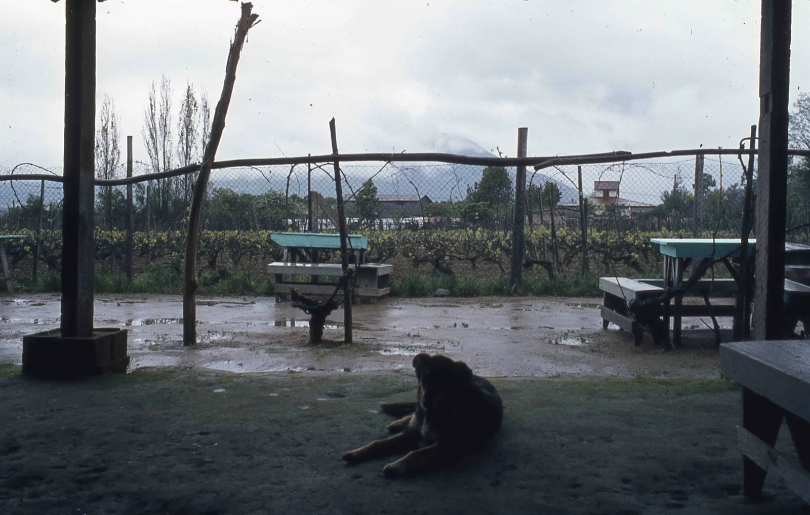 Sector Parque Nacional la Campana en los 70s
