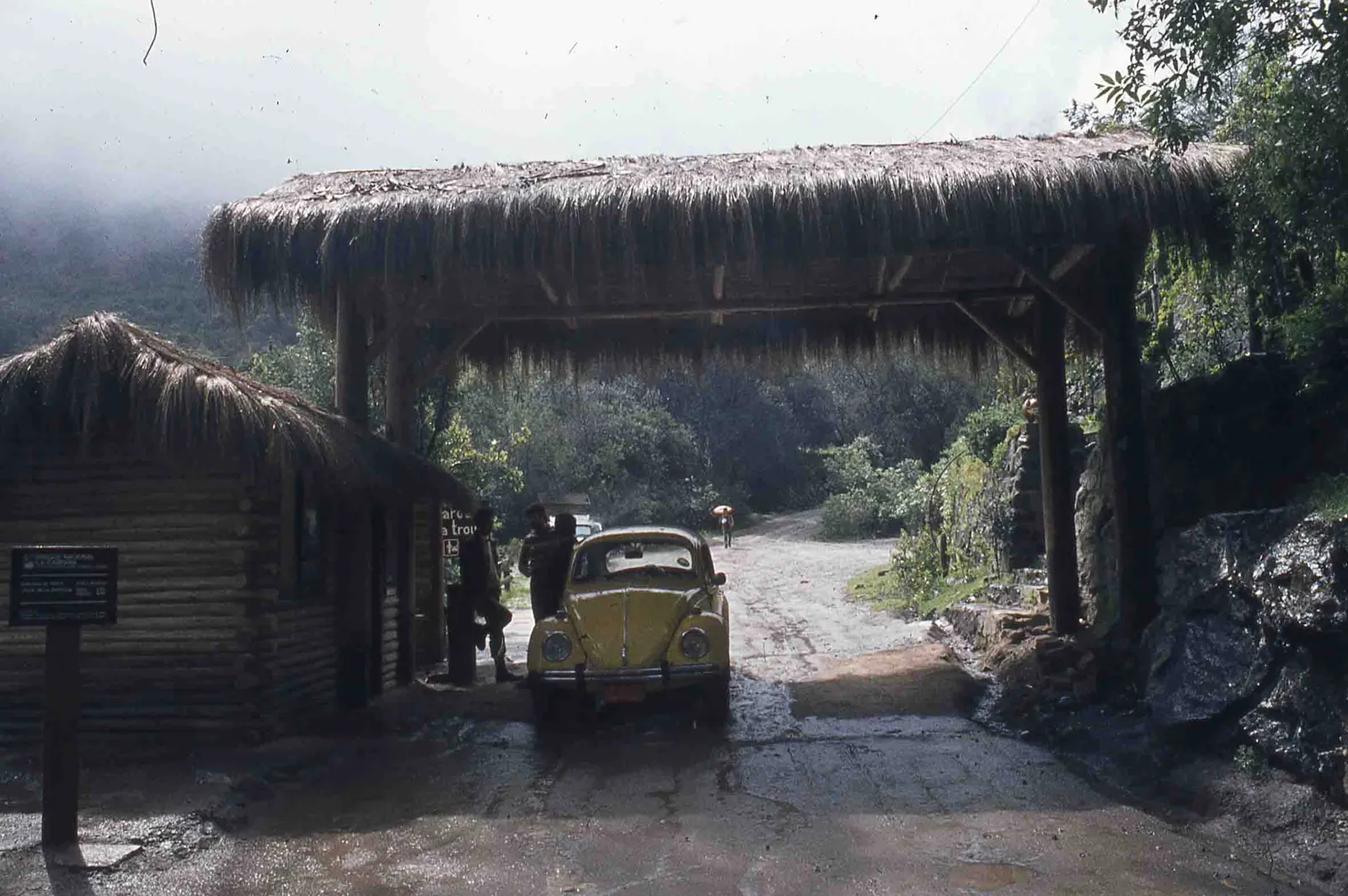 Sector Parque Nacional la Campana en los 70s