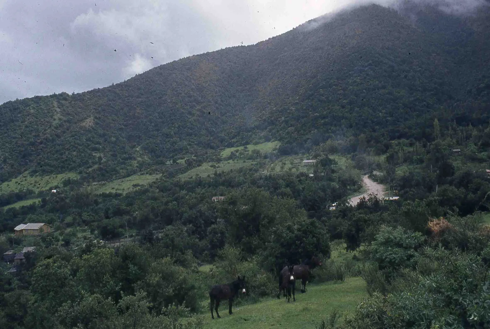 Sector Parque Nacional la Campana en los 70s
