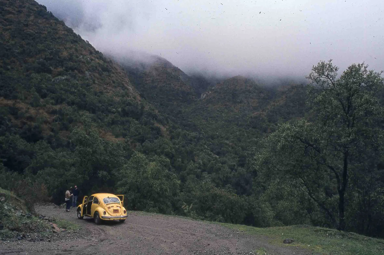 Sector Parque Nacional la Campana en los 70s