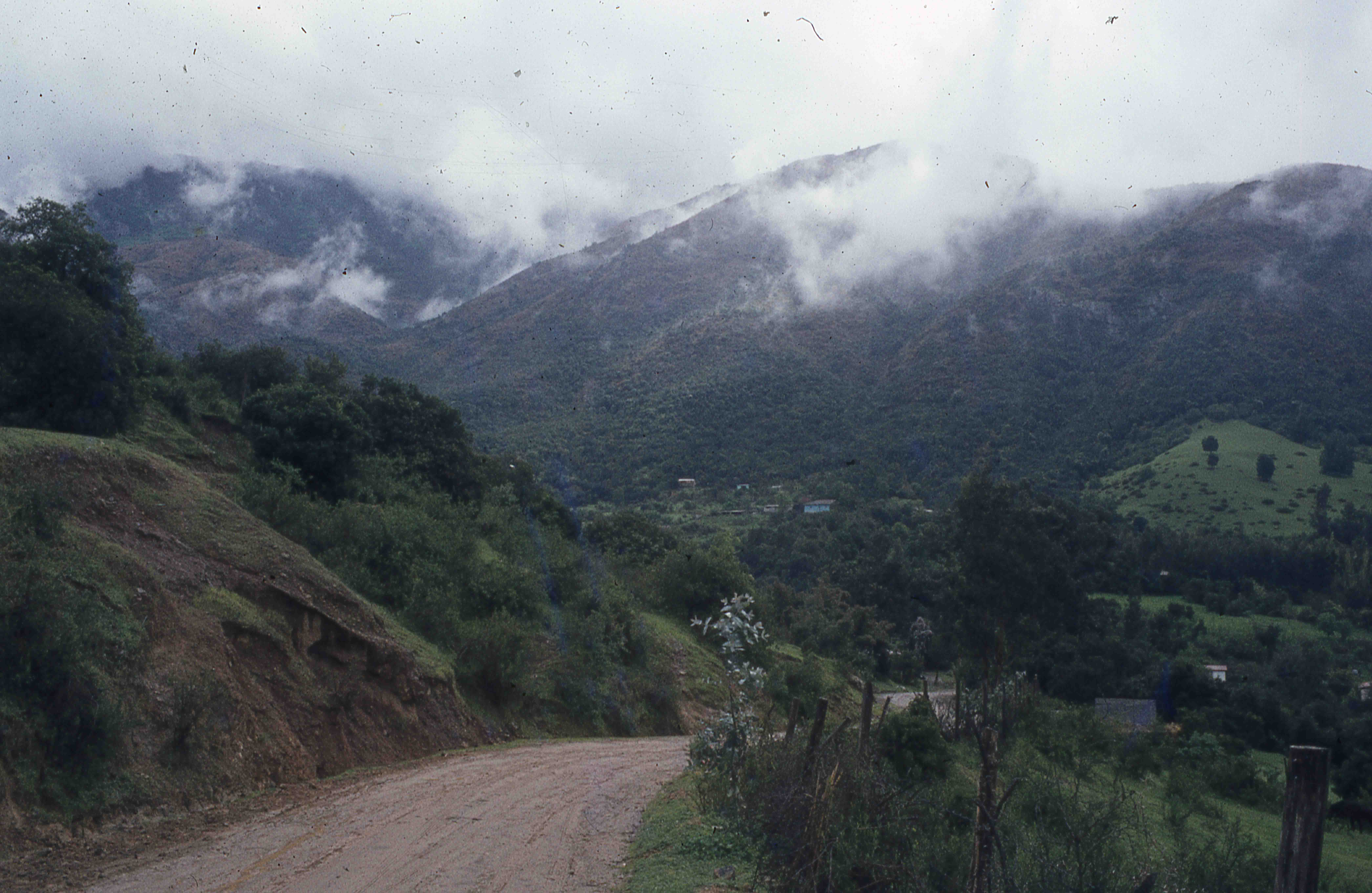Sector Parque Nacional la Campana en los 70s