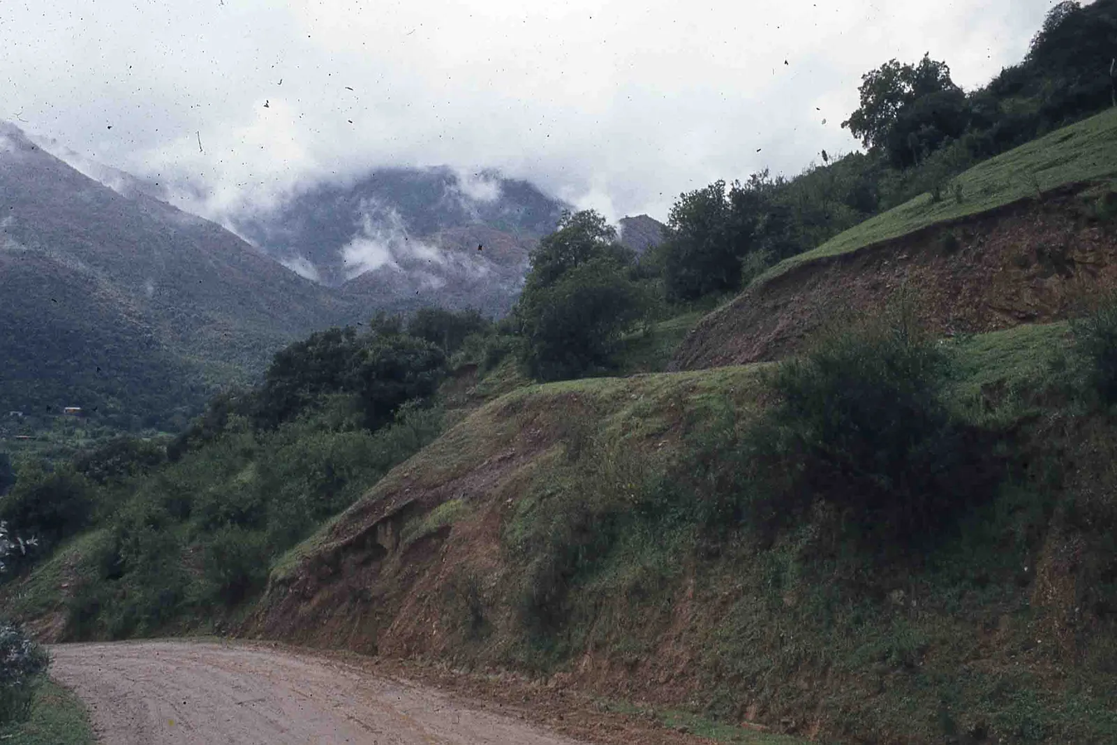 Sector Parque Nacional la Campana en los 70s