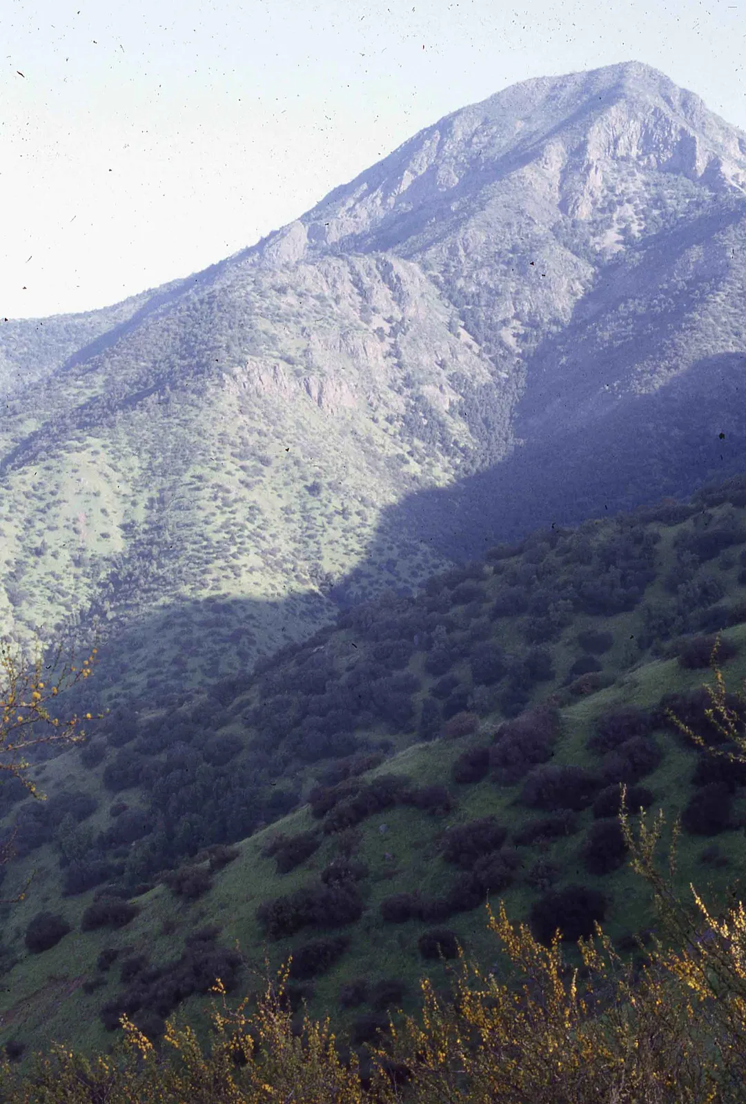 Cerro Manquehue en 1980