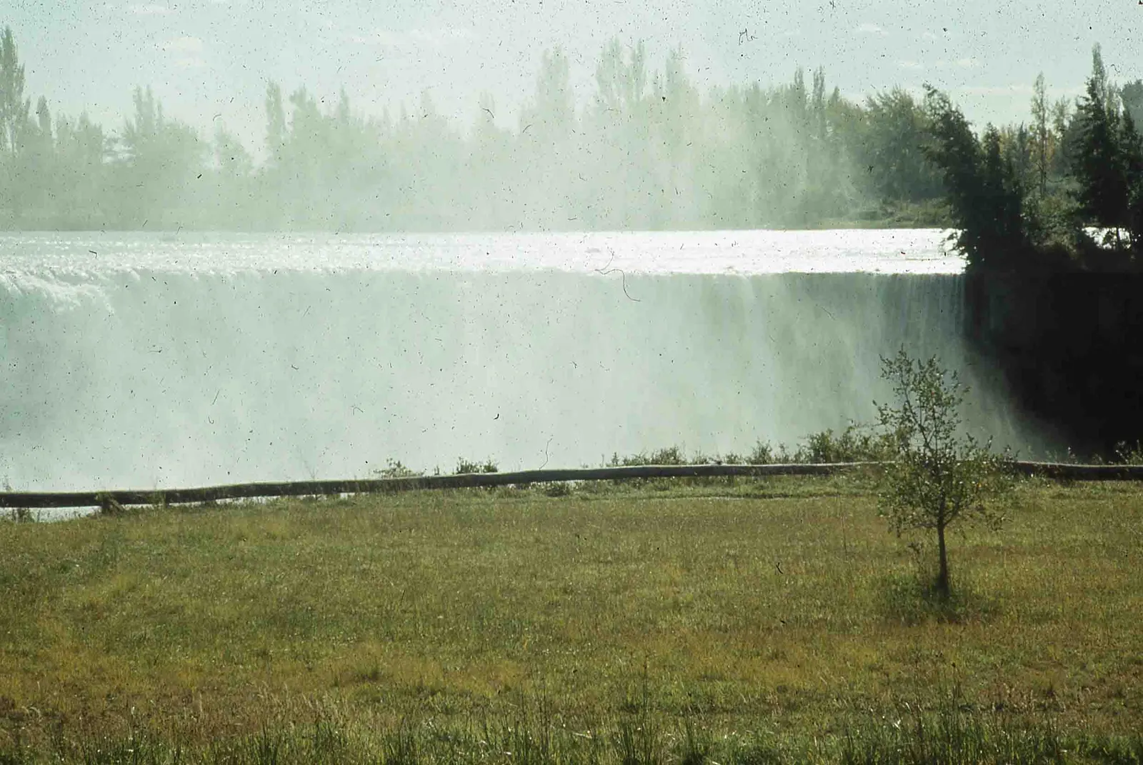 Saltos del laja en 1980