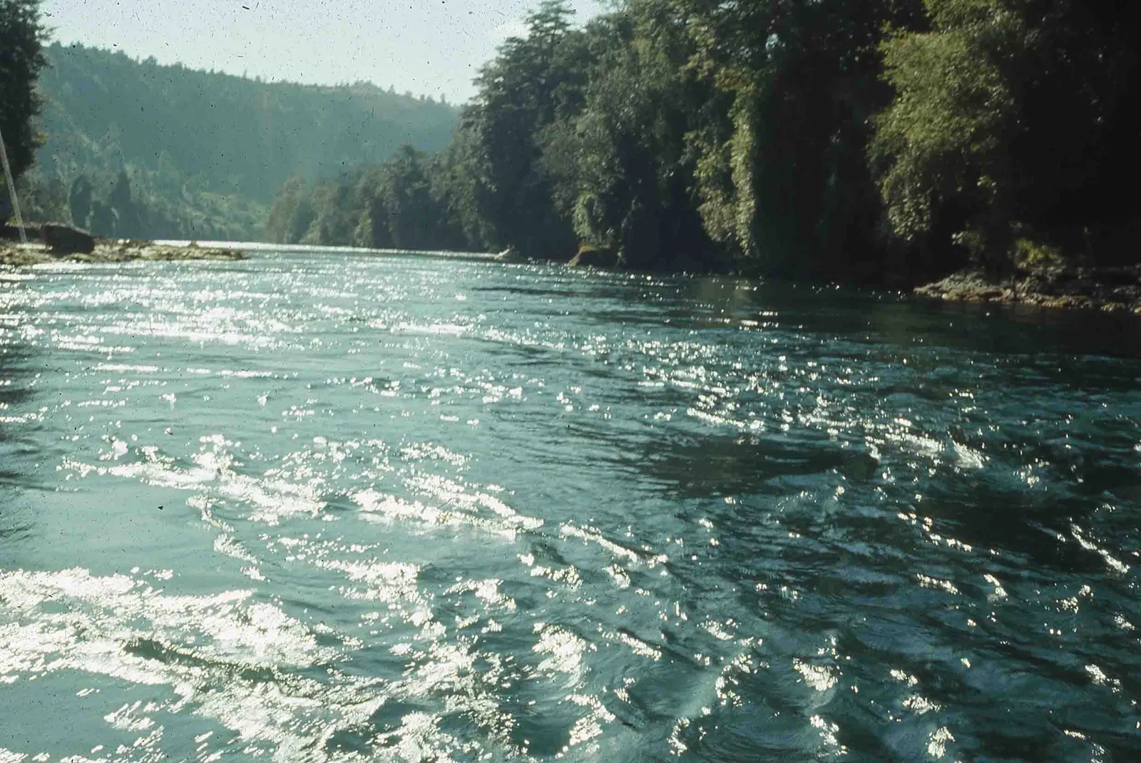 Sur de Chile en los años 80