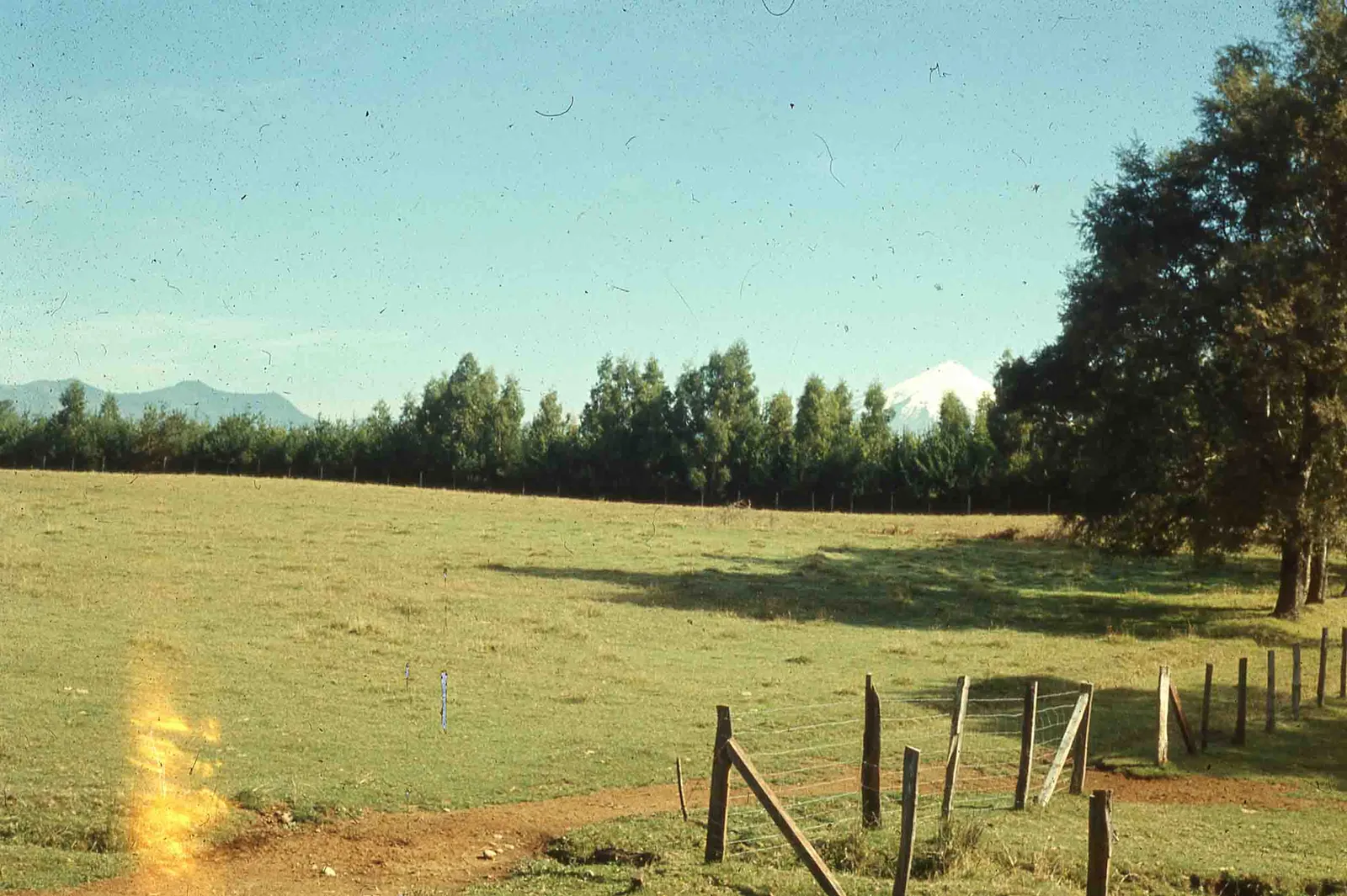 Sur de Chile en los años 80