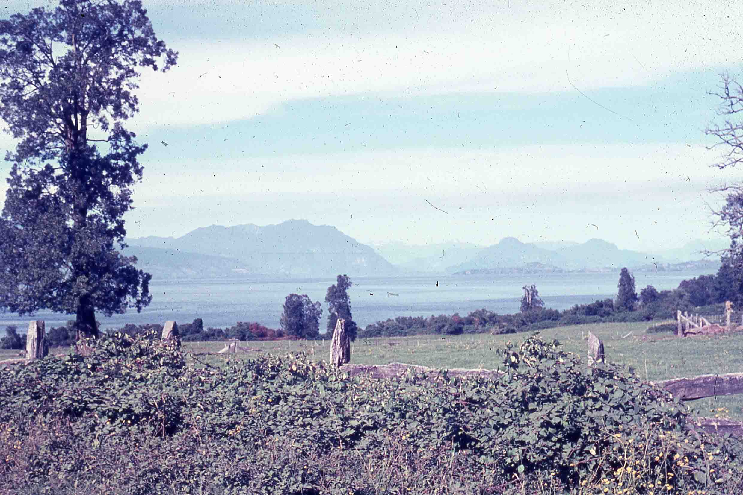 Sur de Chile en los años 80