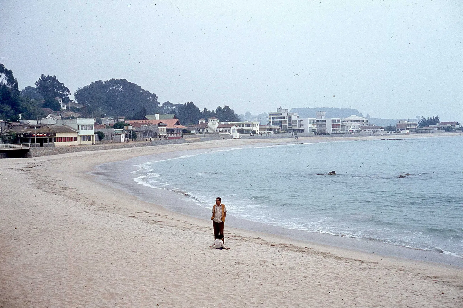 Algarrobo en 1979