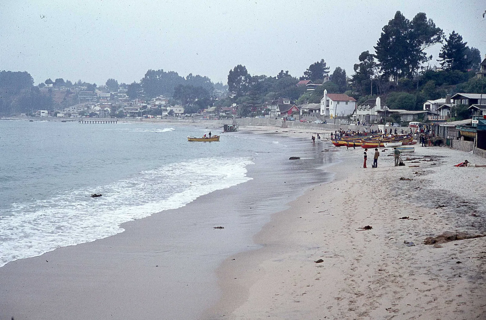 Algarrobo en 1979