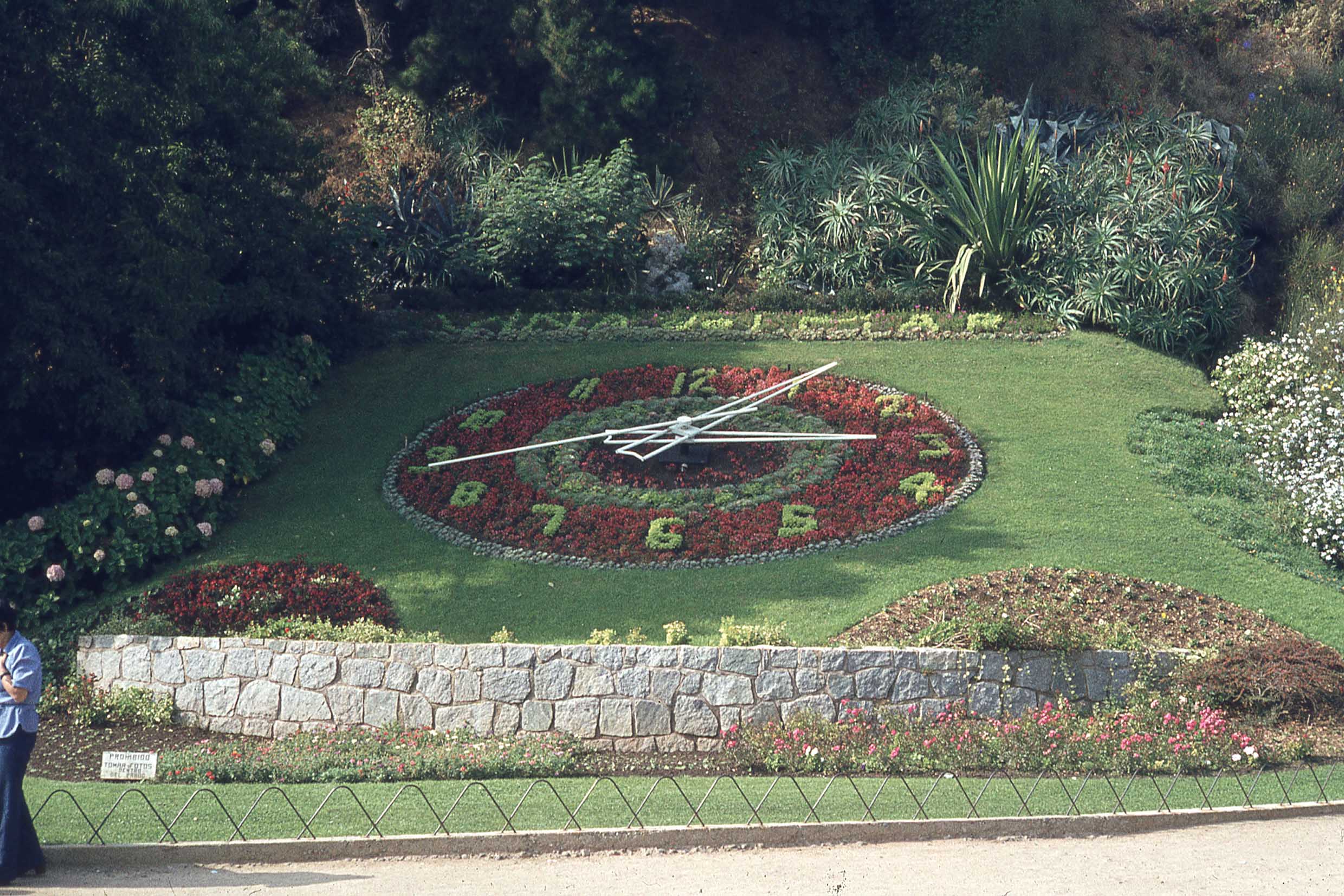 Reloj de Flores de Viña en 1979