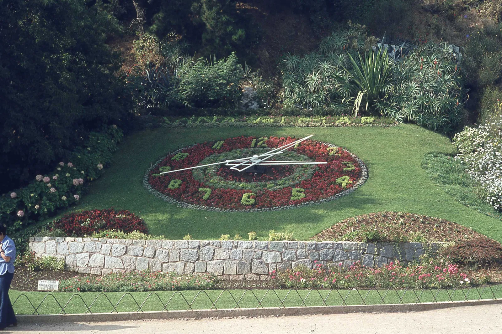 Reloj de Flores de Viña en 1979