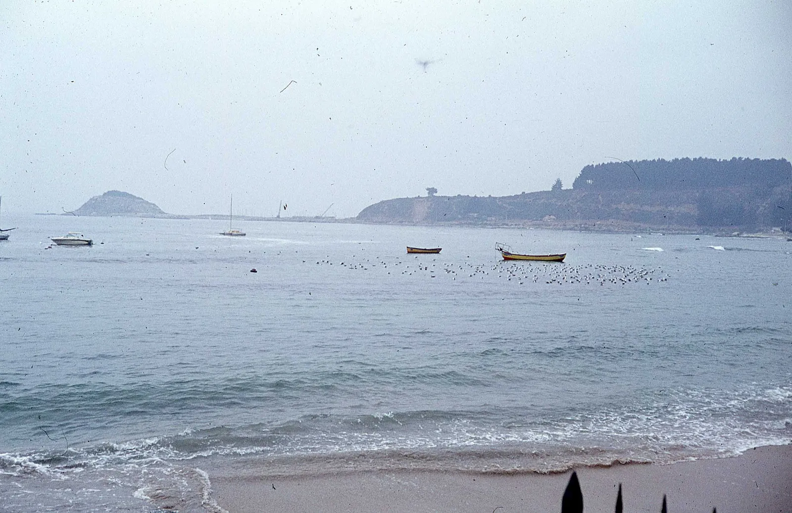 Algarrono en 1979