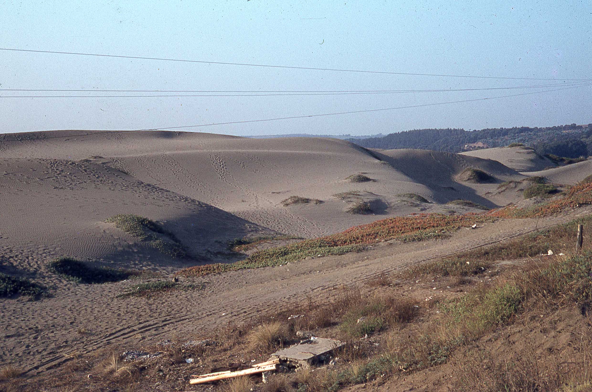 Dunas de Concón en 1979