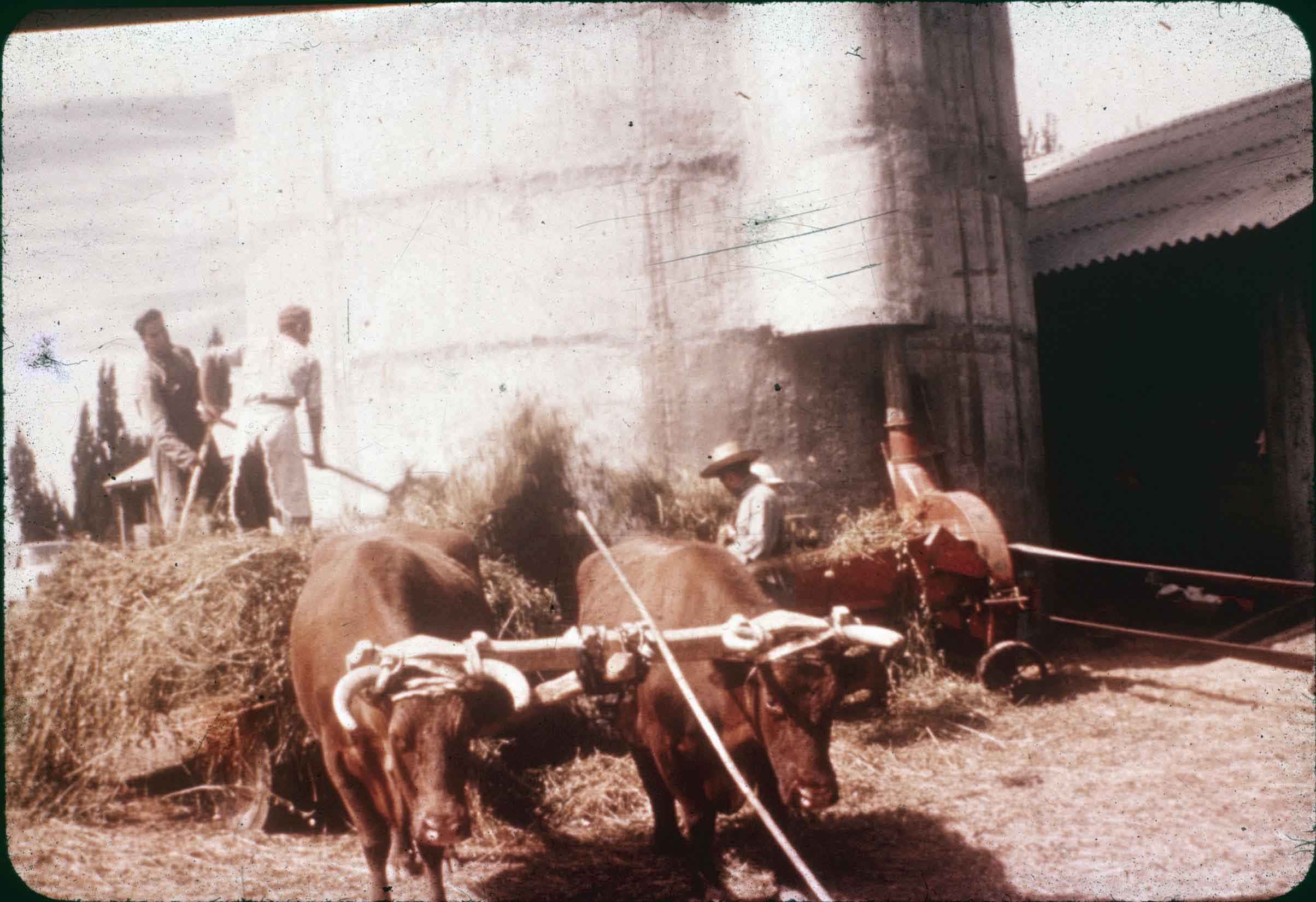 Lugar desconocido en los años 60s