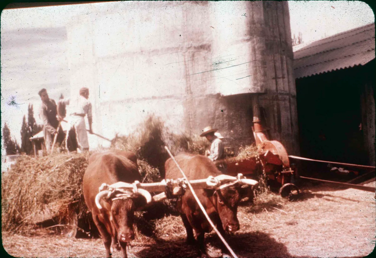 Lugar desconocido en los años 60s